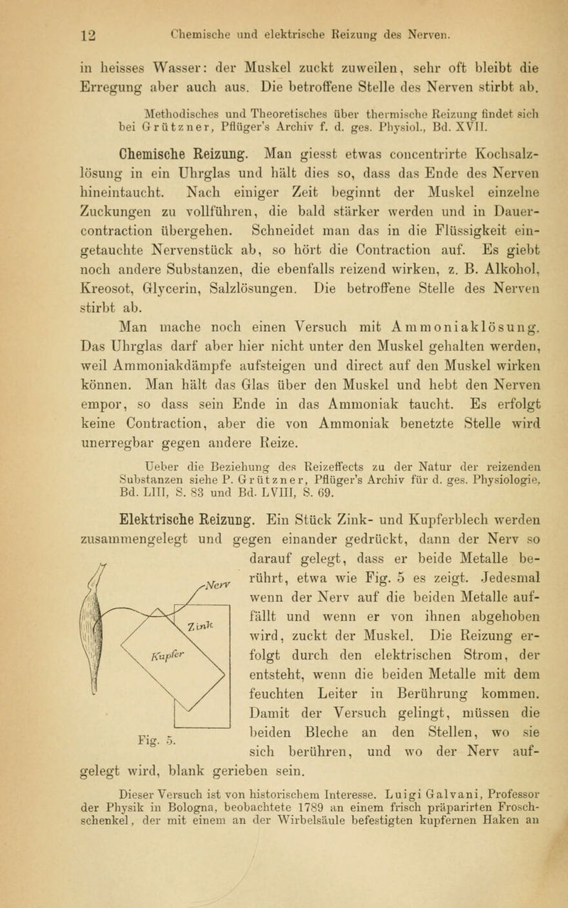 in heisses Wasser: der Muskel zuckt zuweilen, sehr oft bleibt die Erregung aber auch aus. Die betroffene Stelle des Nerven stirbt ;il>. Methodisches und Theoretisches über thermische Reizung findet sich bei Grützner, Pfiüger's Archiv f. d. ges. PbysioL, Bd. XVII. Chemische Reizung. Man giesst etwas concentrirte Kochsalz- lösung in ein Uhrglas und hält dies so, dass das Ende des Nerven hineintaucht. Nach einiger Zeit beginnt der Muskel einzelne Zuckungen zu vollführen, die bald stärker werden und in Dauer- contraction übergehen. Schneidet man das in die Flüssigkeit ein- getauchte Nervenstück ab, so hört die Contraction auf. Es giebt noch andere Substanzen, die ebenfalls reizend wirken, z. B. Alkohol, Kreosot, Glycerin, Salzlösungen. Die betroffene Stelle des Nerven stirbt ab. Man mache noch einen Versuch mit Ammoniaklösung. Das Uhrglas darf aber hier nicht unter den Muskel gehalten werden, weil Ammoniakdämpfe aufsteigen und direct auf den Muskel wirken können. Man hält das Glas über den Muskel und hebt den Nerven empor, so dass sein Ende in das Ammoniak taucht. Es erfolgt keine Contraction, aber die von Ammoniak benetzte Stelle wird unerregbar gegen andere Reize. Ueber die Beziehung des Reizeffects zu der Natur der reizenden Substanzen siehe P. Grützner, Pfiüger's Archiv für d. ges. Physiologie. Bd. LIII, S. 83 und Bd. LVIII, S. 69. Elektrische Reizung. Ein Stück Zink- und Kupferblech werden zusammengelegt und gegen einander gedrückt, dann der Nerv so darauf gelegt, dass er beide Metalle be- rührt, etwa wie Fig. 5 es zeigt. Jedesmal wenn der Nerv auf die beiden Metalle auf- fällt und wenn er von ihnen abgehoben wird, zuckt der Muskel. Die Reizung er- folgt durch den elektrischen Strom, der entsteht, wenn die beiden Metalle mit dem feuchten Leiter in Berührung kommen. Damit der Versuch gelingt, müssen die beiden Bleche an den Stellen, wo sie sich berühren, und wo der Nerv auf- gelegt wird, blank gerieben sein. Dieser Versuch ist von historischem Interesse. Luigi Galvani, Professor der Physik in Bologna, beobachtete 1789 an einem frisch präparirten Frosch- schenkel , der mit einem an der Wirbelsäule befestigten kupfernen Haken an Fisr.