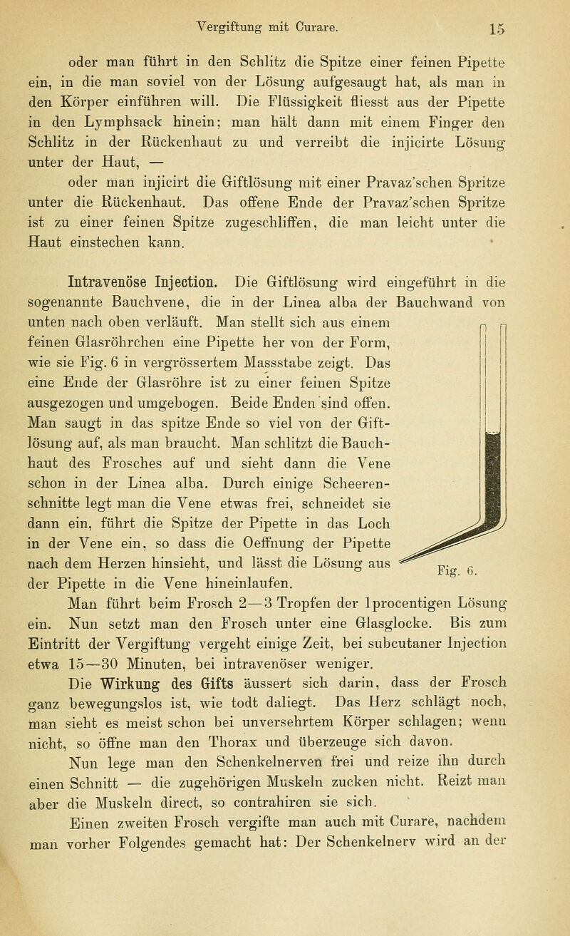 oder man führt in den Schlitz die Spitze einer feinen Pipette ein, in die man soviel von der Lösung aufgesaugt hat, als man in den Körper einführen will. Die Flüssigkeit fliesst aus der Pipette in den Lymphsack hinein; man hält dann mit einem Finger den Schlitz in der Rückenhaut zu und verreibt die injicirte Lösung- unter der Haut, — oder man injicirt die Giftlösung mit einer Pravaz'schen Spritze unter die Rückenhaut. Das offene Ende der Pravaz'schen Spritze ist zu einer feinen Spitze zugeschliffen, die man leicht unter die Haut einstechen kann. Intravenöse Injection. Die Giftlösung wird eingeführt in die sogenannte Bauchvene, die in der Linea alba der Bauchwand von unten nach oben verläuft. Man stellt sich aus einem feinen Glasröhrchen eine Pipette her von der Form, wie sie Fig. 6 in vergrössertem Massstabe zeigt. Das eine Ende der Glasröhre ist zu einer feinen Spitze ausgezogen und umgebogen. Beide Enden sind offen. Man saugt in das spitze Ende so viel von der Gift- lösung auf, als man braucht. Man schlitzt die Bauch- haut des Frosches auf und sieht dann die Vene schon in der Linea alba. Durch einige Scheeren- schnitte legt man die Vene etwas frei, schneidet sie dann ein, führt die Spitze der Pipette in das Loch in der Vene ein, so dass die Oeffnung der Pipette nach dem Herzen hinsieht, und lässt die Lösung aus der Pipette in die Vene hineinlaufen. Man führt beim Frosch 2—3 Tropfen der lprocentigen Lösung ein. Nun setzt man den Frosch unter eine Glasglocke. Bis zum Eintritt der Vergiftung vergeht einige Zeit, bei subcutaner Injection etwa 15—30 Minuten, bei intravenöser weniger. Die Wirkung des Gifts äussert sich darin, dass der Frosch ganz bewegungslos ist, wie todt daliegt. Das Herz schlägt noch, man sieht es meist schon bei unversehrtem Körper schlagen; wenn nicht, so öffne man den Thorax und überzeuge sich davon. Nun lege man den Schenkelnerven frei und reize ihn durch einen Schnitt — die zugehörigen Muskeln zucken nicht. Reizt man aber die Muskeln direct, so contrahiren sie sich. Einen zweiten Frosch vergifte man auch mit Curare, nachdem man vorher Folgendes gemacht hat: Der Schenkelnerv wird an der