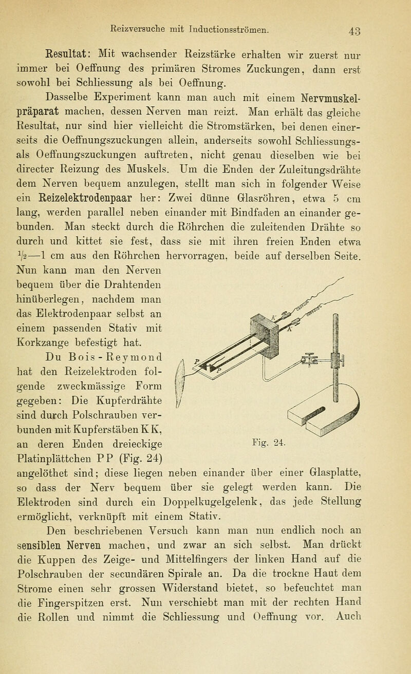 Resultat: Mit wachsender Reizstärke erhalten wir zuerst nur immer bei Oeffnung des primären Stromes Zuckungen, dann erst sowohl bei Schliessung als bei Oeffnung. Dasselbe Experiment kann man auch mit einem Nervmuskel- präparat machen, dessen Nerven man reizt. Man erhält das gleiche Resultat, nur sind hier vielleicht die Stromstärken, bei denen einer- seits die Oeffnungszuckungen allein, anderseits sowohl Schliessungs- ais Oeffnungszuckungen auftreten, nicht genau dieselben wie bei directer Reizung des Muskels. Um die Enden der Zuleitungsdrähte dem Nerven bequem anzulegen, stellt man sich in folgender Weise ein Reizelektrodenpaar her: Zwei dünne Glasröhren, etwa 5 cm lang, werden parallel neben einander mit Bindfaden an einander ge- bunden. Man steckt durch die Röhrchen die zuleitenden Drähte so durch und kittet sie fest, dass sie mit ihren freien Enden etwa ^2—1 cm aus den Röhrchen hervorragen, beide auf derselben Seite. Nun kann man den Nerven bequem über die Drahtenden hinüberlegen, nachdem man das Elektrodenpaar selbst an einem passenden Stativ mit Korkzange befestigt hat. Du Bois-Reymond hat den Reizelektroden fol- o-ende zweckmässige Form gegeben: Die Kupferdrähte sind durch Polschrauben ver- bunden mit Kupferstäben K K, an deren Enden dreieckige Platinplättchen PP (Fig. 24) angelöthet sind; diese liegen neben einander über einer Glasplatte, so dass der Nerv bequem über sie gelegt werden kann. Die Elektroden sind durch ein Doppelkugelgelenk, das jede Stellung ermöglicht, verknüpft mit einem Stativ. Den beschriebenen Versuch kann man nun endlich noch an sensiblen Nerven machen, und zwar an sich selbst. Man drückt die Kuppen des Zeige- und Mittelfingers der linken Hand auf die Polschrauben der secundären Spirale an. Da die trockne Haut dem Strome einen sehr grossen Widerstand bietet, so befeuchtet man die Fingerspitzen erst. Nun verschiebt man mit der rechten Hand die Rollen und nimmt die Schliessung und Oeffnung vor. Auch Fi?. 24.