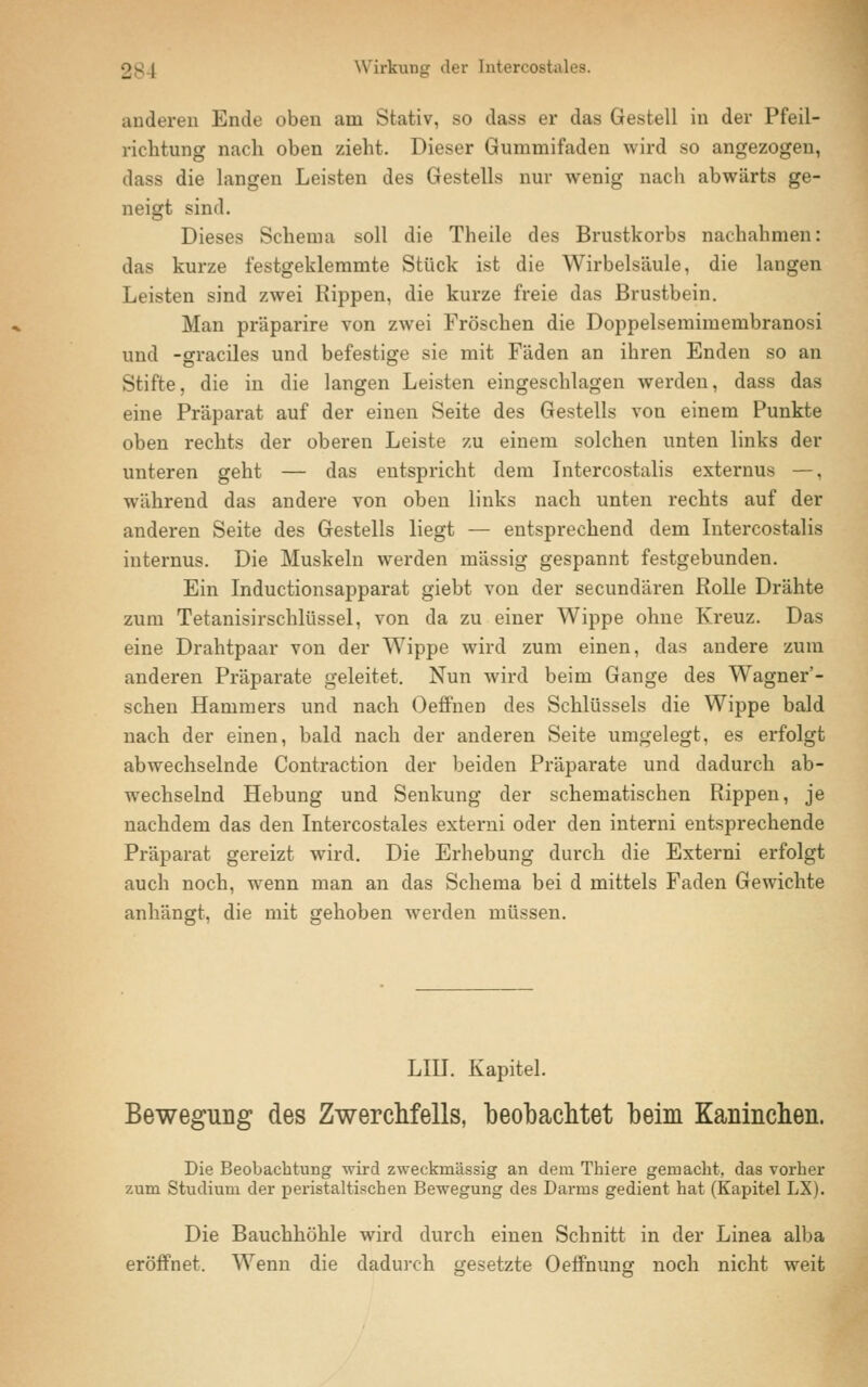 2g | Wirkung der Intercostales. anderen Ende oben am Stativ, so dass er das Gestell in der Pfeil- richtung nach oben zieht. Dieser Gummifaden wird so angezogen, dass die langen Leisten des Gestells nur wenig nach abwärts ge- neigt sind. Dieses Schema soll die Theile des Brustkorbs nachahmen: das kurze festgeklemmte Stück ist die Wirbelsäule, die langen Leisten sind zwei Hippen, die kurze freie das Brustbein. Man präparire von zwei Fröschen die Doppelsemimembranosi und -sfraciles und befestige sie mit Fäden an ihren Enden so an Stifte, die in die langen Leisten eingeschlagen werden, dass das eine Präparat auf der einen Seite des Gestells von einem Punkte oben rechts der oberen Leiste zu einem solchen unten links der unteren geht — das entspricht dem Intercostalis externus —, wiihrend das andere von oben links nach unten rechts auf der anderen Seite des Gestells liegt — entsprechend dem Intercostalis internus. Die Muskeln werden massig gespannt festgebunden. Ein Inductionsapparat giebt von der secundären Rolle Drähte zum Tetanisirschlüssel, von da zu einer Wippe ohne Kreuz. Das eine Drahtpaar von der Wippe wird zum einen, das andere zum anderen Präparate geleitet. Nun wird beim Gange des Wagner'- schen Hammers und nach Oeffnen des Schlüssels die Wippe bald nach der einen, bald nach der anderen Seite umgelegt, es erfolgt abwechselnde Contraction der beiden Präparate und dadurch ab- wechselnd Hebung und Senkung der schematischen Rippen, je nachdem das den Intercostales externi oder den interni entsprechende Präparat gereizt wird. Die Erhebung durch die Externi erfolgt auch noch, wenn man an das Schema bei d mittels Faden Gewichte anhängt, die mit gehoben werden müssen. LIII. Kapitel. Bewegung des Zwerchfells, beobachtet beim Kaninchen. Die Beobachtung wird zweckmässig an dem Thiere gemacht, das vorher zum Studium der peristaltischen Bewegung des Darms gedient hat (Kapitel LX). Die Bauchhöhle wird durch einen Schnitt in der Linea alba eröffnet. Wenn die dadurch gesetzte Oeffnung noch nicht weit