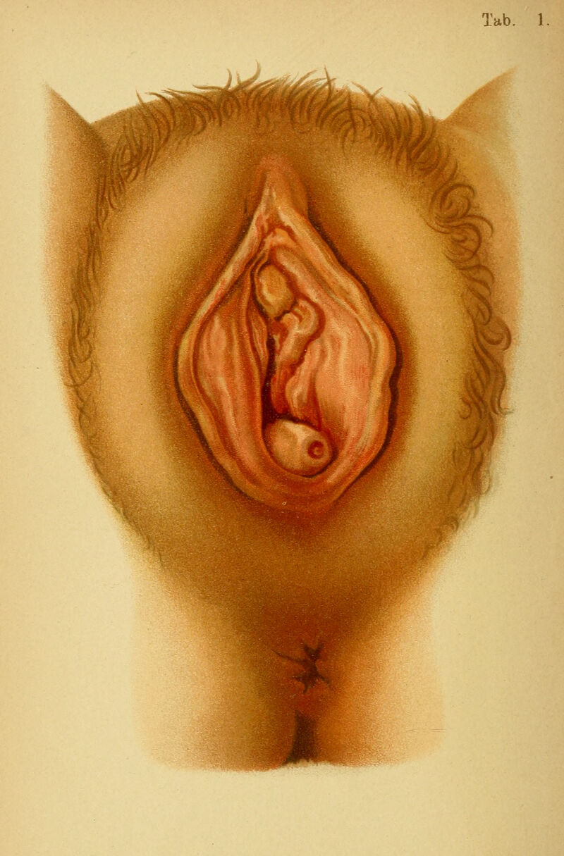 Tab. 1.
