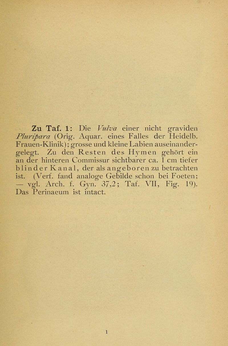 Zu Taf. 1: Die Vulva einer nicht graviden Pluripara (Orig. Aquar. eines Falles der Heidelb. Frauen-Klinik); grosse und kleine Labien auseinander- gelegt. Zu den Resten des Hymen gehört ein an der hinteren Commissur sichtbarer ca. 1 cm tiefer blinder Kanal, der als angeboren zu betrachten ist. (Verf. fand analoge Gebilde schon bei Foeten; — vgl. Arch. f. Gyn. 37,2; Taf. VII, Fig. 19). Das Perinaeum ist intact.