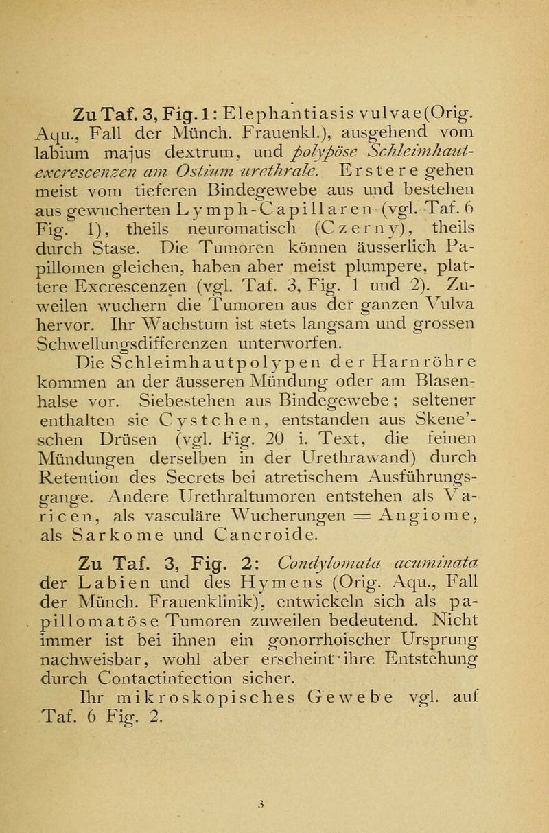 ZuTaf. 3,Fig.l: Elephantiasis vulvae(Orig. Aqu., Fall der Münch. Frauenkl.), ausgehend vom labium majus dextrum, und polypöse Schleimhmii- excrescenzeii am Ostmm lirethrale. E r s t e r e gehen meist vom tieferen Bindegewebe aus und bestehen aus gewucherten Lymph-Capillaren (vgl. Taf. 6 Fig. 1), theils neuromatisch (C z e r n y), theils durch Stase. Die Tumoren können äusserlich Pa- pillomen gleichen, haben aber meist plumpere, plat- tere Excrescenzen (vgl. Taf. 3, Fig. 1 und 2). Zu- weilen wuchern die Tumoren aus der ganzen Vulva hervor. Ihr Wachstum ist stets langsam und grossen Schwellungsdifferenzen unterworfen. Die Schleimhautpolypen der Harnröhre kommen an der äusseren Mündung oder am Blasen- halse vor. Siebestehen aus Bindegewebe ; seltener enthalten sie C y s t c h e n, entstanden aus Skene'- schen Drüsen (vgl. Fig. 20 i. Text, die feinen Mündungen derselben in der Urethrawand) durch Retention des Secrets bei atretischem Ausführungs- gange. Andere Urethraltumoren entstehen als Va- ricen, als vasculäre Wucherungen = Angiome, als Sarkome und Cancroide. Zu Taf. 3, Fig. 2: Condyloynata acuminata der Labien und des Hymens (Orig. Aqu., Fall der Münch. Frauenklinik), entwickeln sich als pa- pillomatöse Tumoren zuweilen bedeutend. Nicht immer ist bei ihnen ein gonorrhoischer Ursprung nachweisbar, wohl aber erscheint• ihre Entstehung durch Contactinfection sicher. Ihr mikroskopisches Gewebe vgl. auf Taf. 6 Fip-. 2.