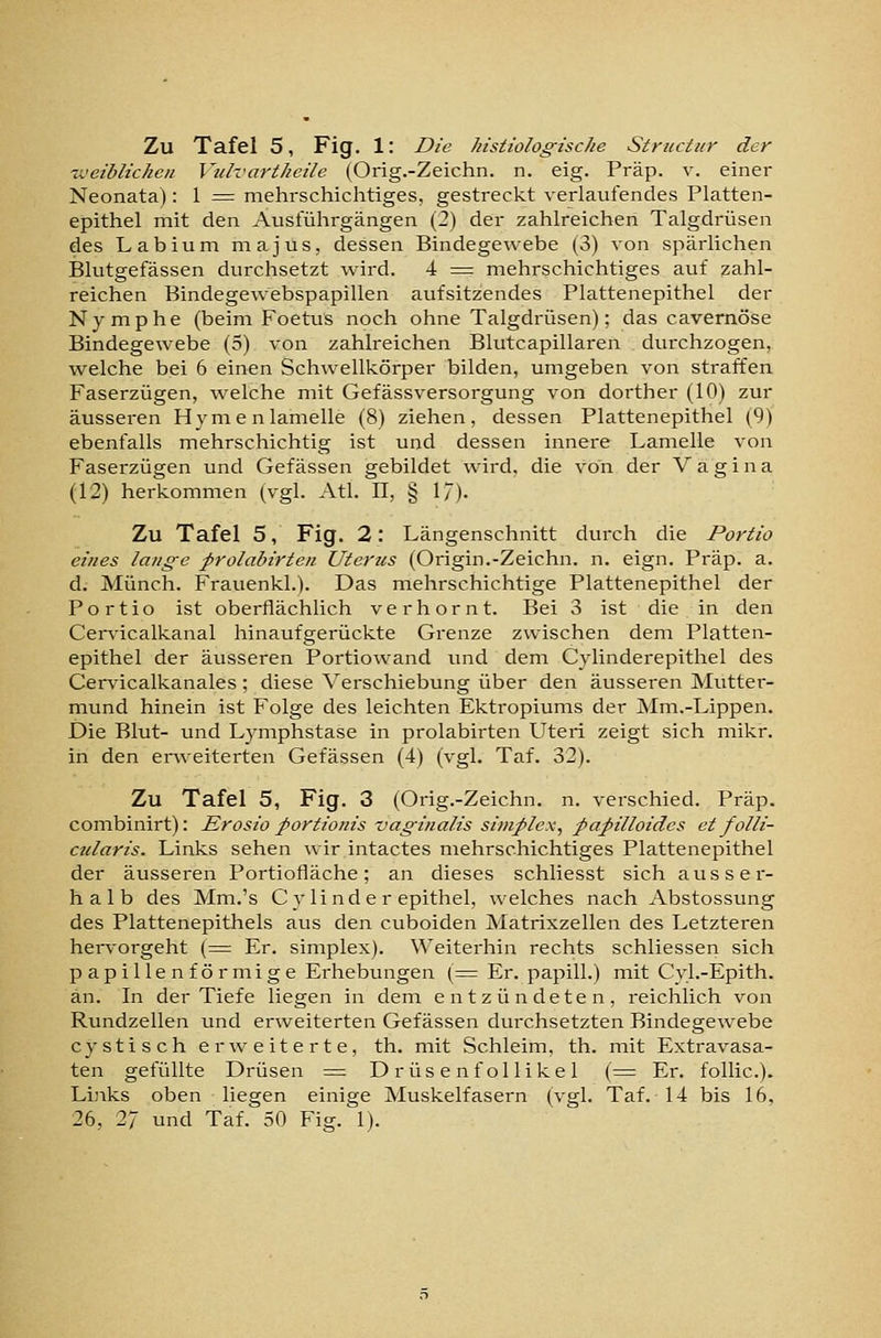 ■v.'eiblichcii VidvartJieile (Orig.-Zeichn. n. eig. Präp. v. einer Neonata): 1 = mehrschichtiges, gestreckt verlaufendes Platten- epithel mit den Ausführgängen (2) der zahlreichen Talgdrüsen des Labium niajus, dessen Bindegewebe (3) von spärlichen Blutgefässen durchsetzt wird. 4 = mehrschichtiges auf zahl- reichen Bindegewebspapillen aufsitzendes Plattenepithel der Nymphe (beim Foetus noch ohne Talgdrüsen); das cavernöse Bindegewebe (5) von zahlreichen Blutcapillaren durchzogen, welche bei 6 einen Schwellkörper bilden, umgeben von straffen Faserzügen, welche mit Gefässversorgung von dorther (10) zur äussei-en Hymenlamelle (8) ziehen, dessen Plattenepithel (9) ebenfalls mehrschichtig ist und dessen innere Lamelle von Faserzügen und Gefässen gebildet wird, die von der Vagina (12) herkommen (vgl. Atl. II, § 17). Zu Tafel 5, Fig. 2: Längenschnitt durch die Portio eines lauge prolabirten Uierits (Origin.-Zeichn. n. eign. Präp. a. d. Münch. Frauenkl.). Das mehrschichtige Plattenepithel der Portio ist oberflächlich verhornt. Bei 3 ist die in den Cer\-icalkanal hinaufgerückte Grenze zwischen dem Platten- epithel der äusseren Portiowand und dem Cylinderepithel des Cervicalkanales; diese Verschiebung über den äusseren Mutter- mund hinein ist Folge des leichten Ektropiums der Mm.-Lippen. Die Blut- und Lymphstase in prolabirten Uteri zeigt sich mikr. in den erweiterten Gefässen (4) (vgl. Taf. 32). Zu Tafel 5, Fig. 3 (Orig.-Zeichn. n. verschied. Präp. combinirt): Erosio portionis vaginalis simplex^ papilloides et folli- cularis. Links sehen wir intactes mehrschichtiges Plattenepithel der äusseren Portiofläche; an dieses schliesst sich ausser- halb des Mm.'s Cylinderepithel, welches nach Abstossung des Plattenepithels aus den cuboiden Matrixzellen des Letzteren hervorgeht (= Er. simplex). Weiterhin rechts schliessen sich p apille nförmige Erhebungen (= Er. papill.) mit Cyl.-Epith. an. In der Tiefe liegen in dem entzündeten, reichlich von Rundzellen und erweiterten Gefässen durchsetzten Bindegewebe cystisch erweiterte, th. mit Schleim, th. mit Extravasa- ten gefüllte Drüsen = Drüsenfollikel (= Er. foUic). Links oben liegen einige Muskelfasern (vgl. Taf. 14 bis 16. 26, 27 und Taf. 50 Fig. 1).