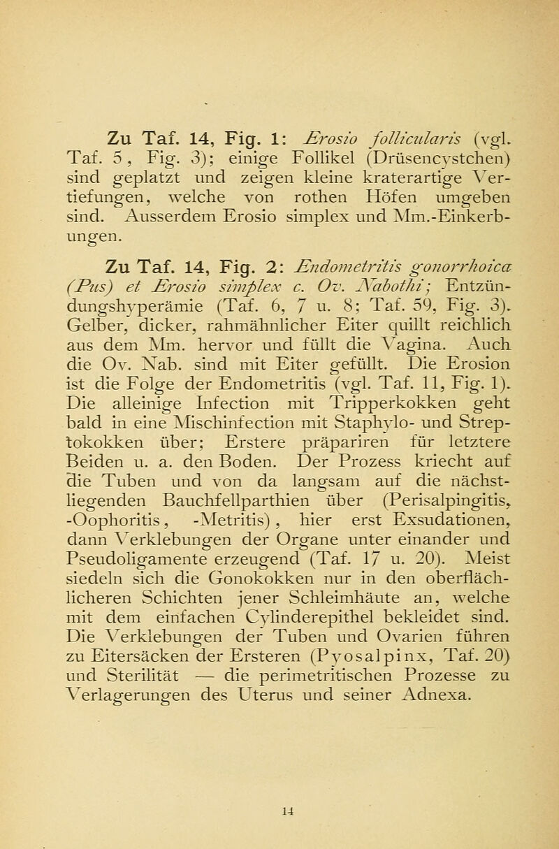 Taf. 5, Fig. 3); einige Follikel (Drüsencvstchen) sind geplatzt und zeigen kleine kraterartige \^x- tiefungen, welche von rothen Höfen umgeben sind. Ausserdem Erosio simplex und Mm.-Einkerb- ungen. Zu Taf. 14, Fig. 2: Endoinetritis gonorrhoica (Pns) et JErosio simplex c. Ov. Juibotki; Entzün- dungshvperämie (Taf. 6, 7 n. 8; Taf. 59, Fig. 3). Gelber, dicker, rahmähnlicher Eiter quillt reichlich aus dem IVIm. hervor und füllt die A'agina. Auch die Ov. Nab. sind mit Eiter gefüllt. Die Erosion ist die Folge der Endometritis (vgl. Taf. 11, Fig. 1). Die alleinige Infection mit Tripperkokken geht bald in eine Mischinfection mit Staphvlo- und Strep- tokokken über; Erstere präpariren für letztere Beiden u. a. den Boden. Der Prozess kriecht auf die Tuben und von da langsam auf die nächst- liegenden Bauchfellparthien über (Perisalpingitis^ -Oophoritis, -Metritis) , hier erst Exsudationen, dann \erklebungen der Organe unter einander und Pseudoligamente erzeugend (Taf. 17 n. 20). ]Meist siedeln sich die Gonokokken nur in den oberfläch- licheren Schichten jener Schleimhäute an, welche mit dem einfachen Cvlinderepithel bekleidet sind. Die \erklebungen der Tuben und Ovarien führen zu Eitersäcken der Ersteren (PyoSalpinx, Taf. 20) und Sterilität — die perimetritischen Prozesse zu A'erlagerungen des Uterus und seiner Adnexa.
