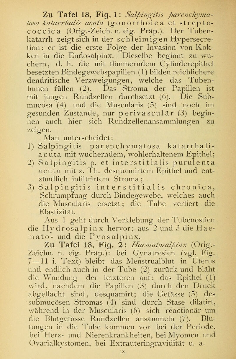 tosa katarrhalis acuta (g-o n orrh oi c a et st r ep t o- coccica (Orig.-Zeich, n. eig. Präp.). Der Tuben- katarrh zeigt sich in der schleimigen Hypersecre- tion; er ist die erste Folge der Invasion von Kok- ken in die Endosalpinx. Dieselbe beginnt zu wu- chern, d. h. die mit flimmerndem Cylinderepithel besetzten Bindegewebspapillen (1) bilden reichlichere dendritische Verzweigungen, welche das Tuben- lumen füllen (2). Das Stroma der Papillen ist mit jungen Rundzellen durchsetzt (6). Die Sub- mucosa (4) und die Muscularis (5) sind noch im gesunden Zustande, nur perivasculär (v3) begin- nen auch hier sich Rundzellenansammlungen zu zeigen. Man unterscheidet: 1) Salpingitis par enchyniatosa katarrhalis acuta mit wucherndem, wohlerhaltenem Epithel; 2) Salpingitis p. et inte rs ti tialis purulenta acuta mit z. Th. desquamirtem Epithel und ent- zündlich infiltrirtem Stroma; 3) Salpingitis interstitialis chronica, Schrumpfung durch Bindegewebe, welches auch die Muscularis ersetzt; die Tube verliert die Elastizität. Aus 1 geht durch \erklebung der Tubenostien die Hydrosalpinx hervor; aus 2 und 3 die Hae- mato- und die Pyosalpinx. Zu Tafel 18, Fig. 2: Haematosalpiiix (Orig.- Zeichn. n. eig. Präp.): bei Gynatresien (vgl. Fig. 7—11 i. Text) bleibt das Menstrualblut in Uterus und endlich auch in der Tube (2) zurück und bläht die Wandung der letzteren auf: das Epithel (1) wird, nachdem die Papillen (3) durch den Druck abgeflacht sind, desquamirt; die Gefässe (5) des submucösen Stromas (4) sind durch Stase dilatirt, während in der Muscularis (6) sich reactionär um die Blutgefässe Rundzellen ansammeln (7). Blu- tungen in die Tube kommen vor bei der Periode, bei Herz- und Nierenkrankheiten, bei Myomen und Ovarialkystomen, bei Extrauteringravidität u. a.