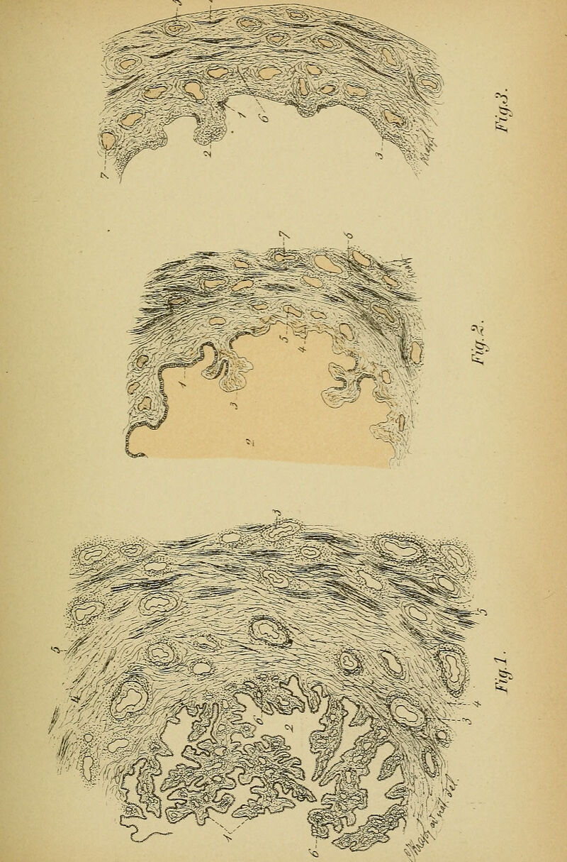 :^#r cgj ^^.c^ 'c? ^äi ifJlW- ^^.^ ^ ^ ^