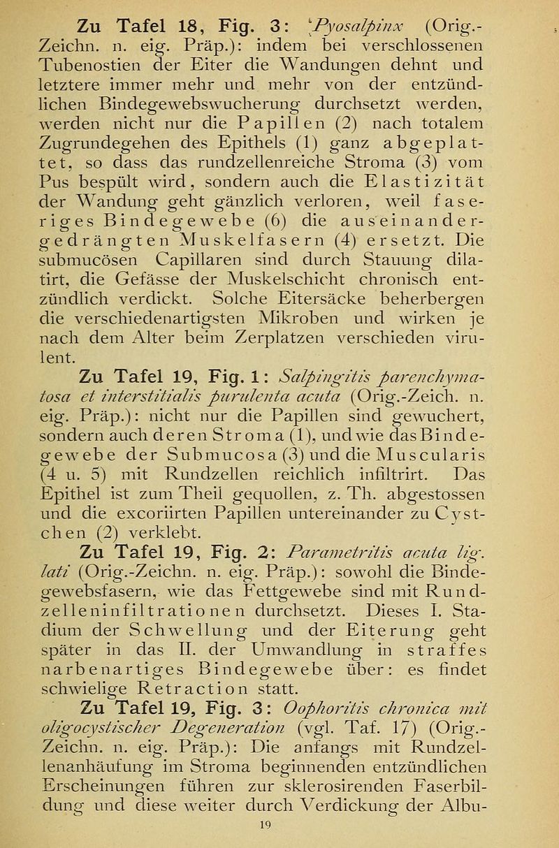 Zu Tafel 18, Fig. 3: \Pyosalpinx (Orig.- Zeichn. n. eig. Präp.): indem bei verschlossenen Tubenostien der Eiter die Wandungen dehnt und letztere immer mehr und mehr von der entzünd- lichen Bindegewebswucherung durchsetzt werden, werden nicht nur die Papillen (2) nach totalem Zugrundegehen des Epithels (1) ganz abgeplat- tet, so dass das rundzellenreiche Stroma (3) vom Pus bespült wird, sondern auch die Elastizität der Wandung geht gänzlich verloren, weil fase- riges Binde g-e webe (6) die auseinander- gedrängten Muskelfasern (4) ersetzt. Die submucösen Capillaren sind durch Stauung dila- tirt, die Gefässe der Muskelschicht chronisch ent- zündlich verdickt. Solche Eitersäcke beherbergen die verschiedenartigsten Mikroben und wirken je nach dem Alter beim Zerplatzen verschieden viru- lent. Zu Tafel 19, Fig. 1: Salpingitis pareuchyma- tosa et interstitialis purulenta acuta (Orig.-Zeich, n. eig. Präp.): nicht nur die Papillen sind gewuchert, sondern auch deren Stroma (1), und wie das Binde- gewebe der Submucosa (3) und die Muscularis (4 u. 5) mit Rundzellen reichlich infiltrirt. Das Epithel ist zum Theil gequollen, z. Th. abgestossen und die excoriirten Papillen untereinander zu Cyst- chen (2) verklebt. Zu Tafel 19, Fig. 2: Parametritis acuta Hg. lati (Orig.-Zeichn. n. eig. Präp.): sowohl die Binde- gewebsfasern, wie das Fettgewebe sind mit Rund- zelleninfiltrationen durchsetzt. Dieses I. Sta- dium der Schwellung und der Eiterung geht später in das IL der Umwandlung in straffes narbenartiges Bindegewebe über: es findet schwielige Retraction statt. Zu Tafel 19, Fig. 3: Oophoritis chronica mit oligocystischer Degeneration (vgl. Taf. 17) (Orig.- Zeichn. n. eig. Präp.): Die anfangs mit Rundzel- lenanhäufung im Stroma beginnenden entzündlichen Erscheinungen führen zur sklerosirenden Faserbil- dung und diese weiter durch Verdickung der Albu-