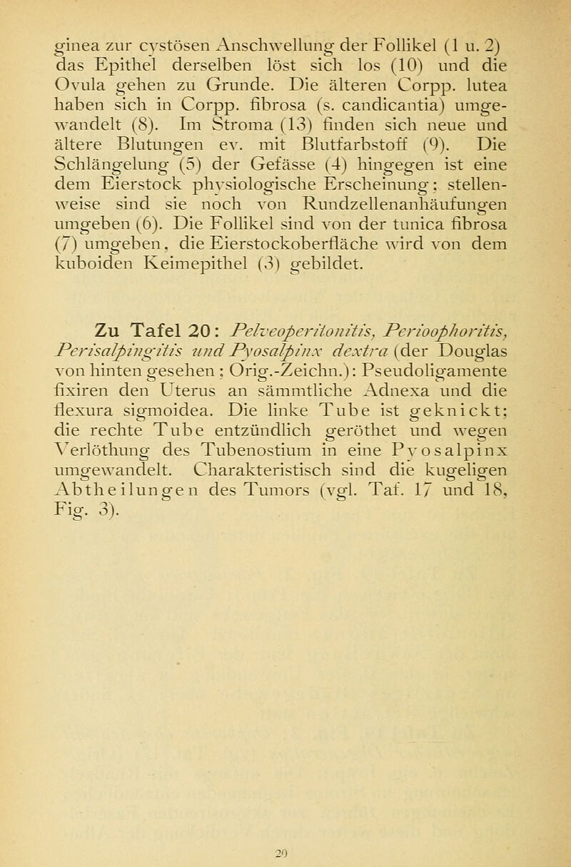 ginea zur cvstösen Anschwellung der Follikel (1 u. 2) das Epithel derselben löst sich los (10) und die Ovula gehen zu Grunde. Die älteren Corpp. lutea haben sich in Corpp. fibrosa (s. candicantia) umge- wandelt (8). Im Stroma (13) finden sich neue und ältere Blutungen ev. mit Blutfarbstoff (9). Die Schlängelung (5) der Gefässe (4) hingegen ist eine dem Eierstock ph^'siologische Erscheinung: stellen- weise sind sie noch von Rundzellenanhäufungen umgeben (6). Die Follikel sind von der tunica fibrosa (7) umgeben. die Eierstockoberfläche wird von dem kuboiden Keimepithel (3) gebildet. Zu Tafel 20: Pelveoperäonitis, Perioophoritis, Perisal/pingitis und Pyosalpinx dextra (der Douglas von hinten g^esehen ; Orig.-Zeichn.): Pseudoligamente fixiren den Uterus an sämmtliche Adnexa und die flexura sigmoidea. Die linke Tube ist geknickt; die rechte Tube entzündlich geröthet und wegen ^erlöthung des Tubenostium in eine Pvosalpinx umgewandelt. Charakteristisch sind die kugeligen Abtheilungen des Tumors (vgl. Taf. 17 und 18, Fig. 3). 20