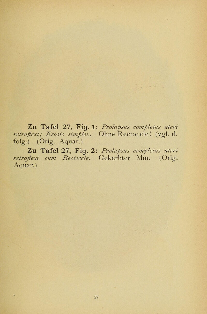 Zu Tafel 27, Fig. 1: Prolapses completus uteri retroflexi; Erosio Simplex. Ohne Rectocele ! (vgl. d. folg.) (Orig. Aquar.) Zu Tafel 27, Fig. 2: Prolapses completus uteri retroflexi cum Rectocele. Gekerbter Mm. (Orig. Aquar.)