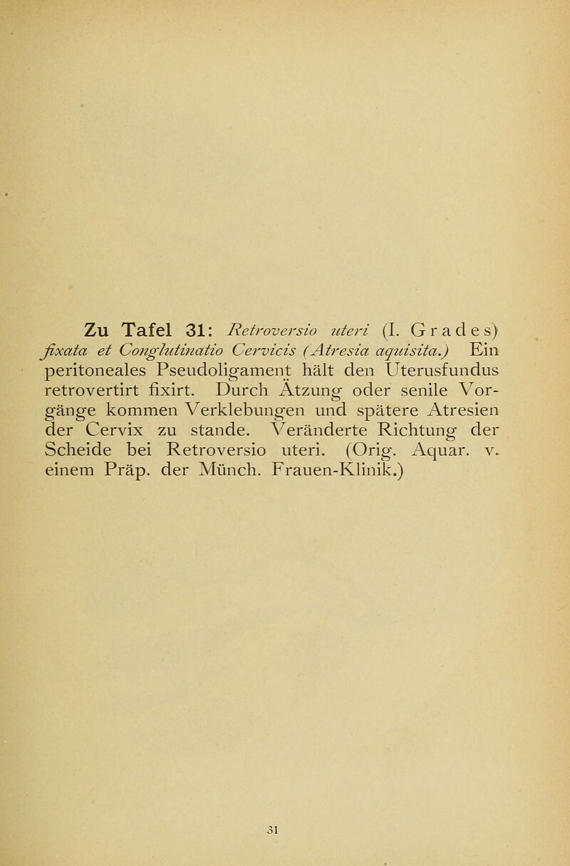 Zu Tafel 31: Retroversio Jiteri (I. Grades) fixata et Conglutmatio Cervicis (Atresia aquisita.) Kin peritoneales Pseudoligament hält den Uterusfundus retrovertirt fixirt. Durch Atzung oder senile Vor- gänge kommen Verklebungen und spätere Atresien der Cervix zu stände. \^eränderte Richtung der Scheide bei Retroversio uteri. (Orig. Aquar. v. einem Präp. der Münch. Frauen-Klinik.)