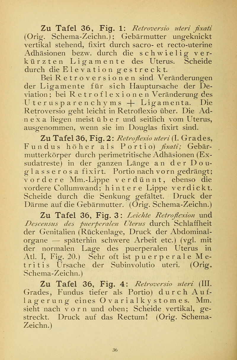 (Orig. Scliema-Zeichn.); Gebärmutter ungeknickt vertikal stehend, fixirt durch sacro- et recto-uterine Adhäsionen bezw. durch die schwielig ver- kürzten Ligamente des Uterus. Scheide durch die Elevation gestreckt. Bei Retroversionen sind Veränderungen der Ligamente für sich Hauptursache der De- viation : bei Retroflexionen Veränderung des Uterusparenchyms -{- Ligamenta. Die Retroversio sreht leicht in Retroflexio über. Die Ad- n e X a liegen meist über und seitlich vom Uterus, ausgenommen, wenn sie im Douglas fixirt sind. Zu Tafei 36, Fig. 2: Retroflexio uteri (I. Grades, Fundus höher als Portio) flxati; Gebär- mutterkörper durch perimetritische Adhäsionen (Ex- sudatreste] in der ganzen Länge an der Dou- glasserosa fixirt. Portio nach vorn gedrängt; vordere Mm.-Lippe verdünnt, ebenso die vordere Collumwand; hintere Lippe verdickt. Scheide durch die Senkung gefaltet. Druck der Därme auf die Gebärmutter. (Orig. Schema-Zeichn.) Zu Tafel 36, Fig. 3 : Leichte Retroflexioit und Descens7is des puerperalen Uterus durch Schlaffheit der Genitalien (Rückenlage, Druck der Abdominal- organe —■ späterhin schwere Arbeit etc.) (vgl. mit der normalen Lage des puerperalen Uterus in Atl. I, Fig. 20.) Sehr oft ist puerperale M e- t r i t i s Ursache der Subinvolutio uteri. (Orig. Schema-Zeichn.) Zu Tafel 36, Fig. 4: Retroversio uteri (III. Grades, Fundus tiefer als Portio) durch Auf- lagerung eines Ovarialkystomes. Mm. sieht nach vorn und oben: Scheide vertikal, ge- streckt. Druck auf das Rectum! (Orig. Schema- Zeichn.) 36