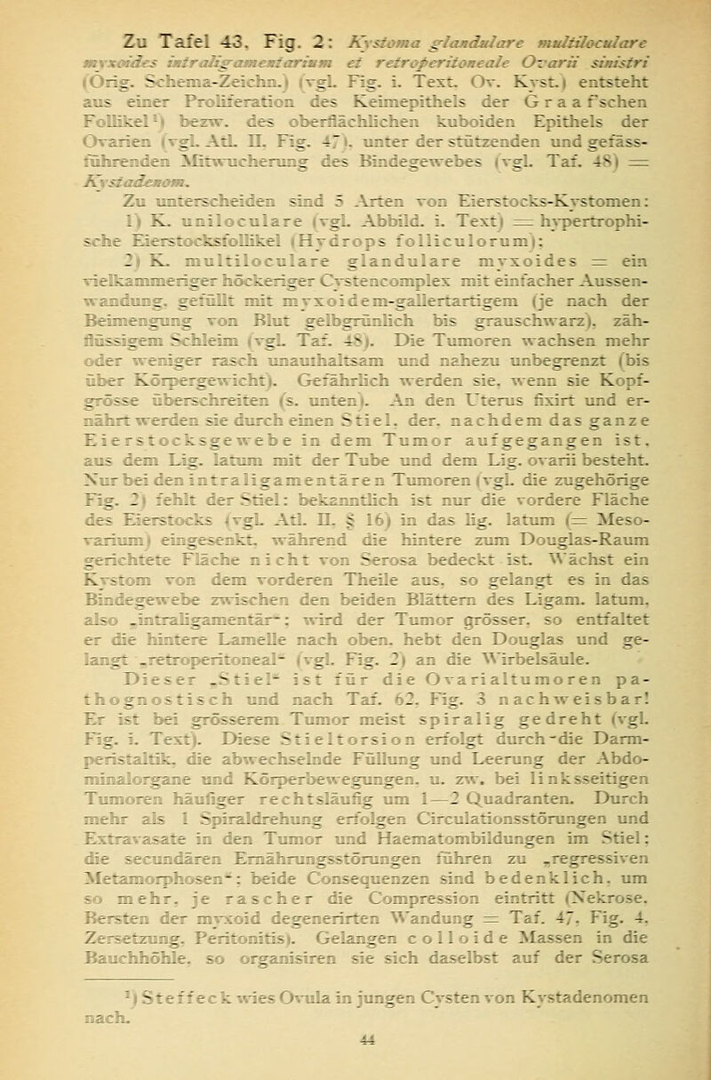 Zu Tafel 43, Fig. 2: ICisiotHa glMdulare mtätüocuiare myxoides ütiraSg-amattariam ei reiroperiioneale Oz'arii sinistri (Orig. Schema-Zeichn.) (vgL Fig. L Text. Ov. Kyst.) entsteht aus einer Proliferation des Keimepithels der G r a a f sehen Follikel^) bezw. des oberflächlichen kuboiden Epithels der Ovarien (VgL AtL IL Fig. 47). unter der stützenden und gefäss- ituhrenden Mitwrucherung des Bindegewebes (vgL Taf. 48) r^ fLYStadenoiK. Zu unterscheiden sind 5 .\rten von Eierstocks-Kvstomen: r» K. uniloculare (vgL Abbild, i. Text) ^ hypertrophi- sche Eierstocksfollikel (Hydrops foUiculorum); 2) K- multiloculare glanduläre myxoides =: ein vielkammeriger höckeriger Cystencomplex mit einfacher Aussen- wandung. gefüllt nüt myxoidem-gallertartigem (je nach der Beimengung von Blut gelbgrünüch bis grauschwarz), zäh- flüssigem Schleim (vgL Taf. 48). Die Tumoren wachsen mehr oder weniger rajsch unauthaltsam und nahezu unbegrenzt (bis über Körpergewicht). Gefährlich werden sie, wenn sie Kopf- grösse überschreiten (s. unten). An den Uterus fixirt und er- nährt w^erden sie durch einen Stiel, der. nachdem das ganze Eierstocksgewebe in dem Tumor aufgegangen ist. aus dem Lig- latum nüt der Tube und dem Lig. ovarii besteht. Nurbei den intraligamentären Tumoren (vgL die zugehörige Fig. 2) fehlt der Stiel: bekanntlich ist nur die vordere Fläche des Eierstocks (vgL AtL ü, § 16) in das lig. latum (=r Meso- varium) eingesenkt, während die hintere zmn Douglas-Raum gerichtete Fläche nicht von Serosa bedeckt ist. Wächst ein Kystom von dem vorderen Theile aus, so gelangt es in das BindegCTvebe zwischen den beiden Blättern des Ligam. latum, also ^intraligamentär-'; wird der Tumor grösser, so entfaltet er die hintere Lamelle nach oben, hebt den Douglas und ge- langt ^5,^et^operitoneal^ (^gl- Fig. 2) an die Wirbelsäule. Dieser ^Stiel* ist für die Ovarialtumoren pa- thognostisch und nach Taf. 62, Fig. 3 nach^veisbar! Er ist bei grösserem Tumor meist spiralig gedreht (vgl. Flg. i. Text). Diese Stieltorsion erfolgt durch-die Darm- peristaltik, die abwechselnde Füllung und Leerung der Abdo- nünalorgane und Köiperbewegungen, u. zw. bei linksseitigen Tumoren häufiger rechtsläufig um 1—2 Quadranten. Durch mehr als l Spiraldrehung erfolgen Circulationsstörungen und Extravasate in den Tumor vad Haematombildungen im Stiel: die secundären Ernährungsstörungen führen zu „regressiven Metamorphosen: beide Consequenzen sind bedenklich, um so mehr, je rascher die Compression eintritt (Tsekrose. Bersten der myxoid degenerirten Wandung = Taf. 47, Fig. 4. Zersetzung, Peritonitis). Gelangen colloide Massen in die Bauchhöhle, so organisiren sie sich daselbst auf der Serosa '»Steff eck wies Ovula in jungen Cysten von Kystadenomen nach.