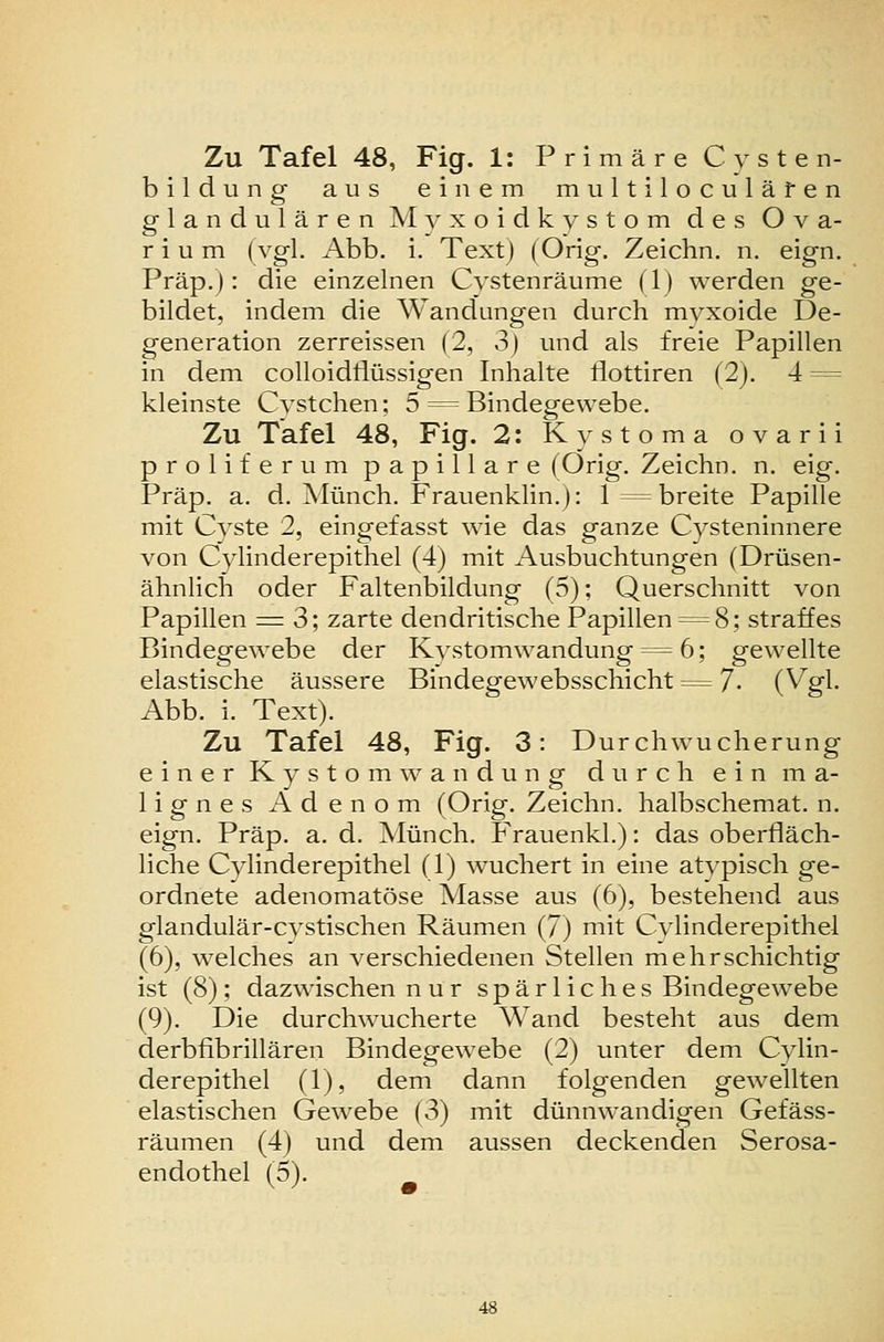 bildung aus einem multiloculäfen glandulären Myxoidkystom des Ova- r i u m (vgl. Abb. i. Text) (Orig. Zeichn. n. eign. Präp.): die einzelnen Cystenräume (1) werden ge- bildet, indem die Wandungen durch myxoide De- generation zerreissen (2, 3) und als freie Papillen in dem colloidflüssigen Inhalte flottiren (2). 4 = kleinste Cvstchen; 5 = Bindegewebe. Zu Tafel 48, Fig. 2: Kvstoma ovarii proliferum papilläre (Orig. Zeichn. n. eig. Präp. a. d. Münch. Frauenklin.): 1= breite Papille mit Cyste 2, eingefasst wie das ganze Cysteninnere von Cylinderepithel (4) mit Ausbuchtungen (Drüsen- ähnlich oder Faltenbildung (5); Querschnitt von Papillen ^ 3; zarte dendritische Papillen = 8; straffes Bindegewebe der Kystomwandung = 6; gewellte elastische äussere Bindegewebsschicht == 7- C^g^- Abb. i. Text). Zu Tafel 48, Fig. 3: Durchwucherung einer Kystomwandung durch ein ma- lignes Adenom (Orig. Zeichn. halbschemat. n. eign. Präp. a. d. Münch. Frauenkl.): das oberfläch- liche Cylinderepithel (1) wuchert in eine atypisch ge- ordnete adenomatöse Masse aus (6), bestehend aus glandulär-cvstischen Räumen (7) mit Cylinderepithel (6), welches an verschiedenen Stellen mehrschichtig ist (8); dazwischen nur sparliches Bindegewebe (9). Die durchwucherte Wand besteht aus dem derbfibrillären Bindegewebe (2) unter dem Cylin- derepithel (1), dem dann folgenden gewellten elastischen Gewebe (3) mit dünnwandigen Gefäss- räumen (4) und dem aussen deckenden Serosa- endothel (5).