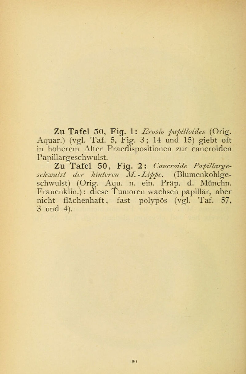 Aquar.) (vgl. Tat. 5, Fig. 3: 14 und 15) giebt oft in höherem Alter Praedispositionen zur cancroiden Papillargeschwulst. Zu Tafel 50, Fig. 2: Cancroide PapiUarge- schwulst der hinteren J7i -Lifpe. (Blumenkohlge- schwulst) (Orig. Aqu. n. ein. Präp. d. Münchn. Frauenklin.): diese Tumoren wachsen papillär, aber nicht flächenhaft. fast polypös (vgl. Taf. zfi, 3 und 4). ' ' 50