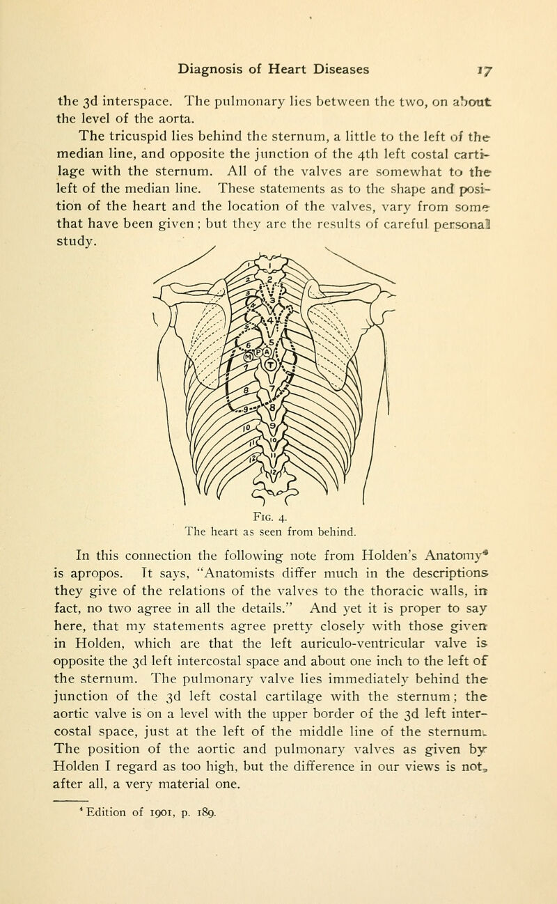 the 3d interspace. Tlic pulmonary lies between the two, on about the level of the aorta. The tricuspid lies behind the sternum, a little to the left of the median line, and opposite the junction of the 4th left costal carti- lage with the sternum. All of the valves are somewhat to the left of the median line. These statements as to the shape and posi- tion of the heart and the location of the valves, vary from some that have been given; but they are the results of careful personal study. Fig. 4. The heart as seen from behind. In this connection the following note from Holden's Anatomy* is apropos. It says, Anatomists dififer much in the descriptions they give of the relations of the valves to the thoracic walls, ii» fact, no two agree in all the details. And yet it is proper to say here, that my statements agree pretty closely with those giveit in Holden, which are that the left auriculo-ventricular valve is opposite the 3d left intercostal space and about one inch to the left of the sternum. The pulmonary valve lies immediately behind the junction of the 3d left costal cartilage with the sternum; the aortic valve is on a level with the upper border of the 3d left inter- costal space, just at the left of the middle line of the sternumu The position of the aortic and pulmonary valves as given by Holden I regard as too high, but the difference in our views is not, after all, a very material one. * Edition of 1901, p. li