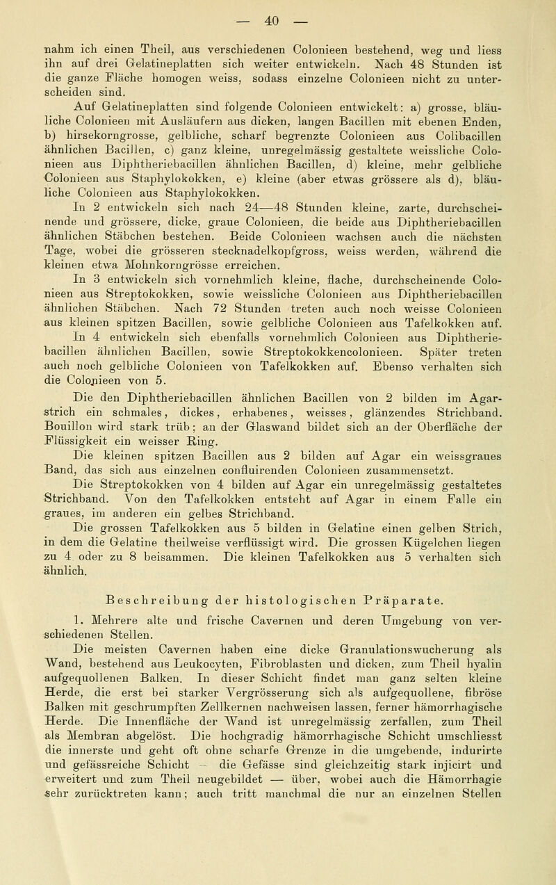 nahm ich einen Theil, aus verschiedenen Colonieen bestehend, weg und Hess ihn auf drei Gelatineplatten sich weiter entwickeln. Nach 48 Stunden ist die ganze Fläche homogen weiss, sodass einzelne Colonieen nicht zu unter- scheiden sind. Auf Gelatineplatten sind folgende Colonieen entwickelt: a) grosse, bläu- liche Colonieen mit Ausläufern aus dicken, langen Bacillen mit ebenen Enden, b) hirsekorngrosse, gelbliche, scharf begrenzte Colonieen aus Colibacillen ähnlichen Bacillen, c) ganz kleine, unregelmässig gestaltete weissliche Colo- nieen aus Diphtheriebacillen ähnlichen Bacillen, d) kleine, mehr gelbliche Colonieen aus Staphylokokken, e) kleine (aber etwas grössere als d), bläu- liche Colonieen aus Staphylokokken. In 2 entwickeln sich nach 24—48 Stunden kleine, zarte, durchschei- nende und grössere, dicke, graue Colonieen, die beide aus Diphtheriebacillen ähnlichen Stäbchen bestehen. Beide Colonieen wachsen auch die nächsten Tage, wobei die grösseren stecknadelkopfgross, weiss werden, während die kleinen etwa Mohnkorngrösse erreichen. In 3 entwickeln sich vornehmlich kleine, flache, durchscheinende Colo- nieen aus Streptokokken, sowie weissliche Colonieen aus Diphtheriebacillen ähnlichen Stäbchen. Nach 72 Stunden treten auch noch weisse Colonieen aus kleinen spitzen Bacillen, sowie gelbliche Colonieen aus Tafelkokken auf. In 4 entwickeln sich ebenfalls vornehmlich Colonieen aus Diphtherie- bacillen ähnlichen Bacillen, sowie Streptokokkencolonieen. Später treten auch noch gelbliche Colonieen von Tafelkokken auf. Ebenso verhalten sich die Colojiieen von 5. Die den Diphtheriebacillen ähnlichen Bacillen von 2 bilden im Agar- strich ein schmales, dickes, erhabenes, weisses, glänzendes Strichband, Bouillon wird stark trüb; an der Glaswand bildet sich an der Oberfläche der Elüssigkeit ein weisser Ring. Die kleinen spitzen Bacillen aus 2 bilden auf Agar ein weissgraues Band, das sich aus einzelnen confluirenden Colonieen zusammensetzt. Die Streptokokken von 4 bilden auf Agar ein unregelmässig gestaltetes Strichband. Von den Tafelkokken entsteht auf Agar in einem Falle ein graues, im anderen ein gelbes Strichband. Die grossen Tafelkokken aus 5 bilden in Gelatine einen gelben Strich, in dem die Gelatine theilweise verflüssigt wird. Die grossen Kügelchen liegen zu 4 oder zu 8 beisammen. Die kleinen Tafelkokken aus 5 verhalten sich ähnlich. Beschreibung der histologischen Präparate. 1. Mehrere alte und frische Cavernen und deren Umgebung von ver- schiedenen Stellen. Die meisten Cavernen haben eine dicke Granulationswucherung als Wand, bestehend aus Leukocyten, Fibroblasten und dicken, zum Theil hyalin aufgequollenen Balken. In dieser Schicht findet man ganz selten kleine Herde, die erst bei starker Vergrösserung sich als aufgequollene, fibröse Balken mit geschrumpften Zellkernen nachweisen lassen, ferner hämorrhagische Herde. Die Innenfläche der Wand ist unregelmässig zerfallen, zum Theil als Membran abgelöst. Die hochgradig hämorrhagische Schicht umschliesst die innerste und geht oft ohne scharfe Grenze in die umgebende, indurirte und gefässreiche Schicht - die Gefässe sind gleichzeitig stark injicirt und erweitert und zum Theil neugebildet — über, wobei auch die Hämorrhagie ^ehr zurücktreten kann; auch tritt manchmal die nur an einzelnen Stellen