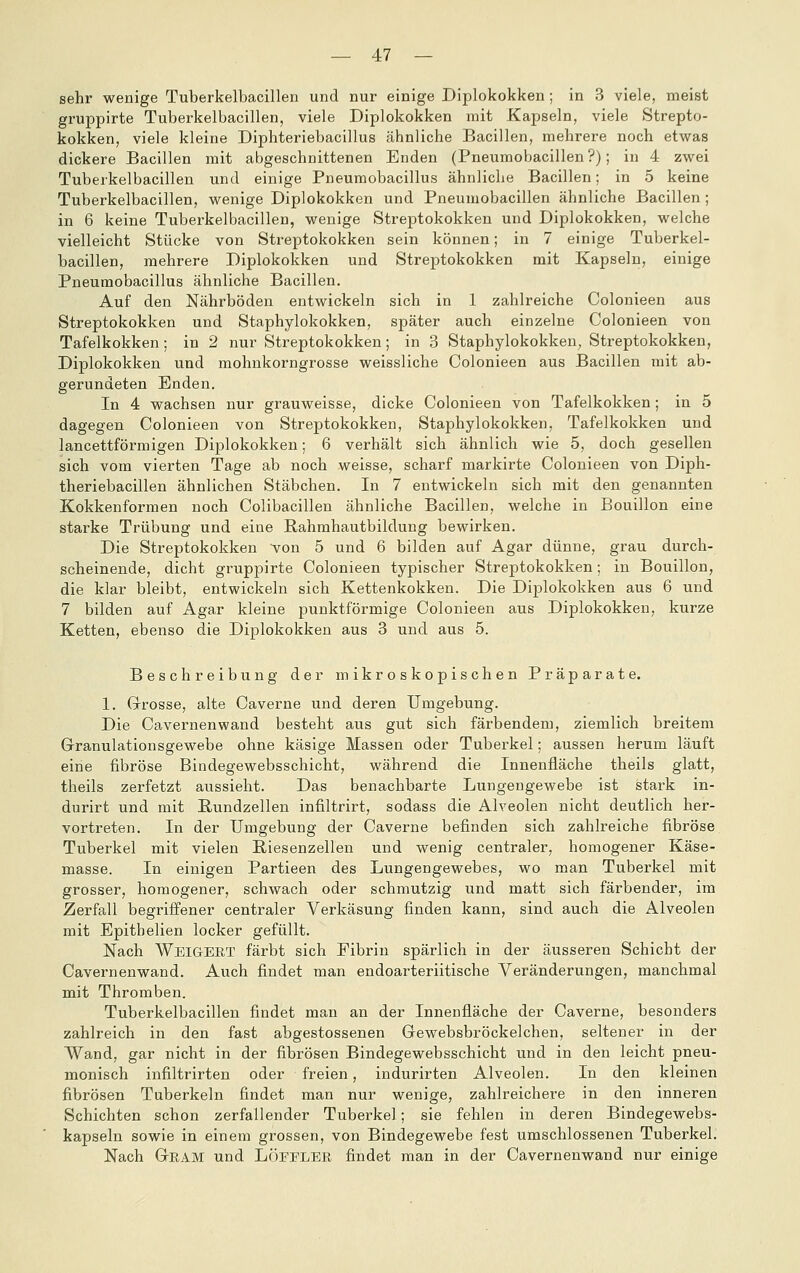sehr wenige Tuberkelbacillen und nur einige Diplokokken ; in 3 viele, meist gruppirte Tuberkelbacillen, viele Diplokokken mit Kapseln, viele Strepto- kokken, viele kleine Diphteriebacillus ähnliche Bacillen, mehrere noch etwas dickere Bacillen mit abgeschnittenen Enden (Pneumobacillen?); in 4 zwei Tuberkelbacillen und einige Pneumobacillus ähnliche Bacillen; in 5 keine Tuberkelbacillen, wenige Diplokokken und Pneumobacillen ähnliche Bacillen; in 6 keine Tuberkelbacillen, wenige Streptokokken und Diplokokken, welche vielleicht Stücke von Streptokokken sein können; in 7 einige Tuberkel- bacillen, mehrere Diplokokken und Streptokokken mit Kapseln, einige Pneumobacillus ähnliche Bacillen. Auf den Nährböden entwickeln sich in 1 zahlreiche Colonieen aus Streptokokken und Staphylokokken, später auch einzelne Colonieen von Tafelkokken ; in 2 nur Streptokokken; in 3 Staphylokokken, Streptokokken, Diplokokken und mohnkorngrosse weissliche Colonieen aus Bacillen mit ab- gerundeten Enden. In 4 wachsen nur grauweisse, dicke Colonieen von Tafelkokken; in 5 dagegen Colonieen von Streptokokken, Staphylokokken, Tafelkokken und lancettförmigen Diplokokken; 6 verhält sich ähnlich wie 5, doch gesellen sich vom vierten Tage ab noch weisse, scharf markirte Colonieen von Diph- theriebacillen ähnlichen Stäbchen. In 7 entwickeln sich mit den genannten Kokkenformen noch Colibacillen ähnliche Bacillen, welche in Bouillon eine starke Trübung und eine Rahmhautbildung bewirken. Die Streptokokken von 5 und 6 bilden auf Agar dünne, grau durch- scheinende, dicht gruppirte Colonieen typischer Streptokokken; in Bouillon, die klar bleibt, entwickeln sich Kettenkokken. Die Diplokokken aus 6 und 7 bilden auf Agar kleine punktförmige Colonieen aus Diplokokken, kurze Ketten, ebenso die Diplokokken aus 3 und aus 5. Beschreibung der mikroskopischen Präparate. 1. Grosse, alte Caverne und deren Umgebung. Die Cavernenwand besteht aus gut sich färbendem, ziemlich breitem Granulationsgewebe ohne käsige Massen oder Tuberkel; aussen herum läuft eine fibröse Bindegewebsschicht, während die Innenfläche theils glatt, theils zerfetzt aussieht. Das benachbarte Lungengewebe ist stark in- durirt und mit Hundzellen infiltrirt, sodass die Alveolen nicht deutlich her- vortreten. In der Umgebung der Caverne befinden sich zahlreiche fibröse Tuberkel mit vielen Riesenzellen und wenig centraler, homogener Käse- masse. In einigen Partieen des Lungengewebes, wo man Tuberkel mit grosser, homogener, schwach oder schmutzig und matt sich färbender, im Zerfall begriffener centraler Verkäsung finden kann, sind auch die Alveolen mit Epithelien locker gefüllt. Nach Weigekt färbt sich Fibrin spärlich in der äusseren Schiebt der Cavernenwand. Auch findet man endoarteriitische Veränderungen, manchmal mit Thromben. Tuberkelbacillen findet man an der Innenfläche der Caverne, besonders zahlreich in den fast abgestossenen Gewebsbröckelchen, seltener in der Wand, gar nicht in der fibrösen Bindegewebsschicht und in den leicht pneu- monisch infiltrirten oder freien, indurirten Alveolen. In den kleinen fibrösen Tuberkeln findet man nur wenige, zahlreichere in den inneren Schichten schon zerfallender Tuberkel; sie fehlen in deren Bindegewebs- kapseln sowie in einem grossen, von Bindegewebe fest umschlossenen Tuberkel. Nach Geam und Löeeler findet man in der Cavernenwand nur einige