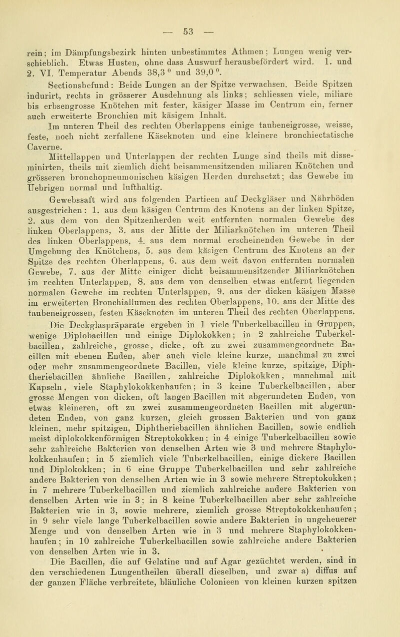 rein; im Dämpfungsbezirk hinten unbestimmtes Athraen ; Lungen wenig ver- schieblich. Etwas Husten, ohne dass Auswurf herausbefördert wird. 1. und 2. VI. Temperatur Abends 38,3^^ und 39,0 ». Sectionsbefund: Beide Lungen an der Spitze verwachsen. Beide Spitzen indurirt, rechts in grösserer Ausdehnung als links; schliessen viele, miliare bis erbsengrosse Knötchen mit fester, käsiger Masse im Centrum ein, ferner auch erweiterte Bronchien mit käsigem Inhalt. Im unteren Theil des rechten Oberlappens einige taubeneigrosse, weisse, feste, noch nicht zerfallene Käseknoten und eine kleinere bronchiectatische Caverne. Mittellappen und Unterlappen der rechten Lunge sind theils mit disse- minirten, theils mit ziemlich dicht beisammensitzenden miliaren Knötchen und grösseren bronchopneumonischen käsigen Herden durchsetzt; das Gewebe im IJebrigen normal und lufthaltig. Gewebssaft wird aus folgenden Partieen auf Deckgläser und Nährböden ausgestrichen: 1. aus dem käsigen Centrum des Knotens an der linken Spitze, 2. aus dem von den Spitzenherden weit entfernten normalen Gewebe des linken Oberlappens, 3. aus der Mitte der Miliarknötchen im unteren Theil des linken Oloerlappens, 4. aus dem normal erscheinenden Gewebe in der Umgebung des Knötchens, 5, aus dem käsigen Centrum des Knotens an der Spitze des rechten Oberlappens, 6. aus dem weit davon entfernten normalen Gewebe, 7. aus der Mitte einiger dicht beisammensitzender Miliarknötchen im rechten Unterlappen, 8. aus dem von denselben etwas entfernt liegenden normalen Gewebe im rechten Unterlappen, 9. aus der dicken käsigen Masse im erweiterten Bronchiallumen des rechten Oberlappens, 10. aus der Mitte des taubeneigrossen, festen Käseknoten im unteren Theil des rechten Oberlappens. Die Deckglaspräparate ergeben in 1 viele Tuberkelbacillen in Gruppen, wenige Diplobacillen und einige Diplokokken; in 2 zahlreiche Tuberkel- bacillen, zahlreiche, grosse, dicke, oft zu zwei zusammengeordnete Ba- cillen mit ebenen Enden, aber auch viele kleine kurze, manchmal zu zwei oder mehr zusammengeordnete Bacillen, viele kleine kurze, spitzige, Diph- theriebacillen ähnliche Bacillen, zahlreiche Diplokokken, manchmal mit Kapseln, viele Staphylokokkenhaufen; in 3 keine Tuberkelbacillen, aber grosse Mengen von dicken, oft langen Bacillen mit abgerundeten Enden, von etwas kleineren, oft zu zwei zusammengeordueten Bacillen mit abgerun- deten Enden, von ganz kurzen, gleich grossen Bakterien und von ganz kleinen, mehr spitzigen, Diphtheriebacillen ähnlichen Bacillen, sowie endlich meist diplokokkenförmigen Streptokokken; in 4 einige Tuberkelbacillen sowie sehr zahlreiche Bakterien von denselben Arten wie 3 und mehrere Staphylo- kokkenhaufen; in 5 ziemlich viele Tuberkelbacillen, einige dickere Bacillen und Diplokokken; in 6 eine Gruppe Tuberkelbacillen und sehr zahlreiche andere Bakterien von denselben Arten wie in 3 sowie mehrere Streptokokken; in 7 mehrere Tuberkelbacillen und ziemlich zahlreiche andere Bakterien von denselben Arten wie in 3; in 8 keine Tuberkelbacillen aber sehr zahlreiche Bakterien wie in 3, sowie mehrere, ziemlich grosse Streptokokkenhaufen; in 9 sehr viele lange Tuberkelbacillen sowie andere Bakterien in ungeheuerer Menge und von denselben Arten wie in 3 und mehrere Staphylokokken- haufen; in 10 zahlreiche Tuberkelbacillen sowie zahlreiche andere Bakterien von denselben Arten wie in 3. Die Bacillen, die auf Gelatine und auf Agar gezüchtet werden, sind in den verschiedenen Lungentheilen überall dieselben, und zwar a) diffus auf der ganzen Fläche verbreitete, bläuliche Colonieen von kleinen kurzen spitzen