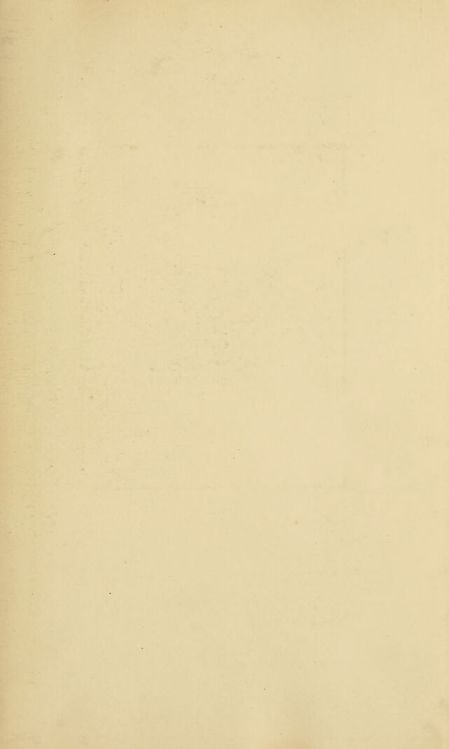 digitised image 3