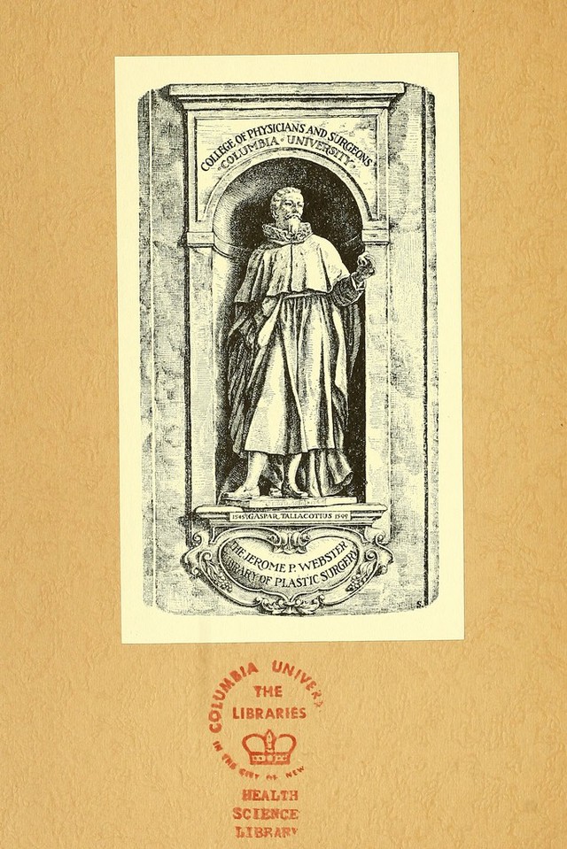 No text description is available for this image