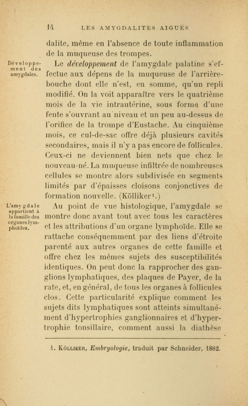 dalite, même en l'absence de toute inflammation de la muqueuse des trompes. Développe- Le développement de l'aniv^rdale palatine s'ef- menldes '^  ^ ^ amygdales, fectue aux dépens de la muqueuse de l'arrière- bouche dont elle n'est, en somme, qu'un repli modifié. On la voit apparaître vers le quatrième mois de la vie intrautérine, sous forma d'une fente s'ouvrant au niveau et un peu au-dessus de l'orifice de la trompe d'Eustache. Au cinquième mois, ce cul-de-sac offre déjà plusieurs cavités secondaires, mais il n'y a pas encore de follicules. Ceux-ci ne deviennent bien nets que chez le nouveau-né. La muqueuse infiltrée de nombreuses cellules se montre alors subdivisée en segments limités par d'épaisses cloisons conjonctives de formation nouvelle. (KôUiker*.) Lamy-daie Au poiut dc vuc histolosfique, l'amyerdale se appartient à ^ , O 1 ? JD latamiiiedes montrc douc avaut tout avec tous les caractères pifoides.'' «^t les attributions d'un organe lymphoïde. Elle se rattache conséquemment par des liens d'étroite parenté aux autres organes de cette famille et offre chez les mêmes sujets des susceptibilités identiques. On peut donc la rapprocher des gan- glions lymphatiques, des plaques de Payer, de la rate, et, en général, de tous les organes à follicules clos. Cette particularité explique comment les sujets dits lymphatiques sont atteints simultané- ment d'hypertrophies ganglionnaires et d'hyper- trophie tonsillaire, comment aussi la diathèse 1. KoLLiKER, Embryologie, traduit par Schneider, 1882. \