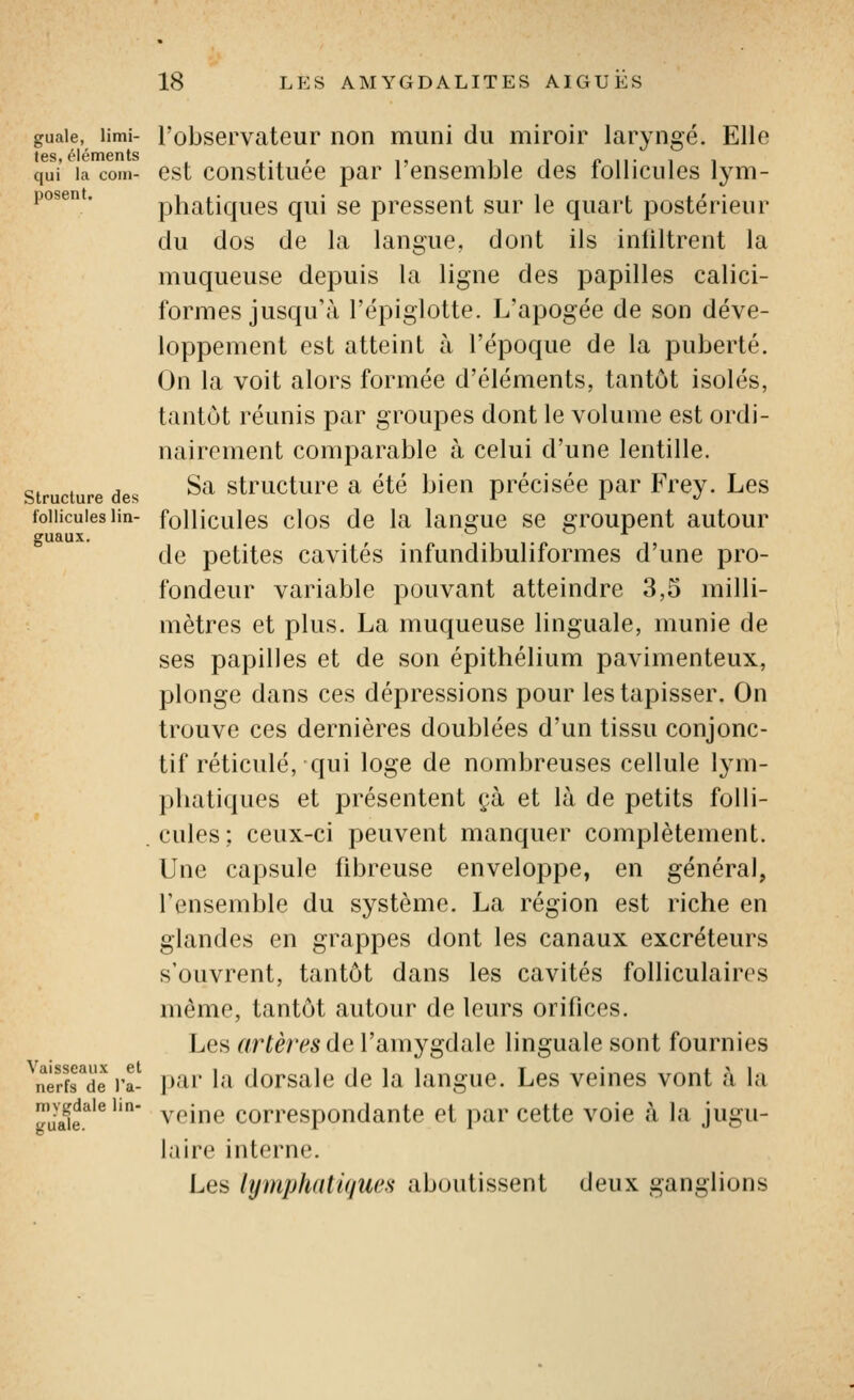 Structure des follicules lin- guaux. guaie, limi- l'observateur non muni du miroir laryngé. Elle t6S ôlémcnts qui' la coin- est constituée par l'ensemble des follicules lym- posent. phatiques qui se pressent sur le quart postérieur du dos de la langue, dont ils inliltrent la muqueuse depuis la ligne des papilles calici- formes jusqu'à l'épiglotte. L'apogée de son déve- loppement est atteint à l'époque de la puberté. On la voit alors formée d'éléments, tantôt isolés, tantôt réunis par groupes dont le volume est ordi- nairement comparable à celui d'une lentille. Sa structure a été bien précisée par Frey. Les follicules clos de la langue se groupent autour de petites cavités infundibuliformes d'une pro- fondeur variable pouvant atteindre 3,5 milli- mètres et plus. La muqueuse linguale, munie de ses papilles et de son épithélium pavimenteux, plonge dans ces dépressions pour les tapisser. On trouve ces dernières doublées d'un tissu conjonc- tif réticulé, qui loge de nombreuses cellule lym- pbatiques et présentent cà et là de petits folli- .cules; ceux-ci peuvent manquer complètement. Une capsule fibreuse enveloppe, en général, l'ensemble du système. La région est riche en glandes en grappes dont les canaux excréteurs s'ouvrent, tantôt dans les cavités folliculaires même, tantôt autour de leurs orifices. Les artères de l'amygdale linguale sont fournies par la dorsale de la langue. Les veines vont à la veine correspondante et par cette voie à la jugu- laire interne. Les lymphatiques aboutissent deux ganglions Vaisseaux et nerfs de l'a- mygdale lin- guale.