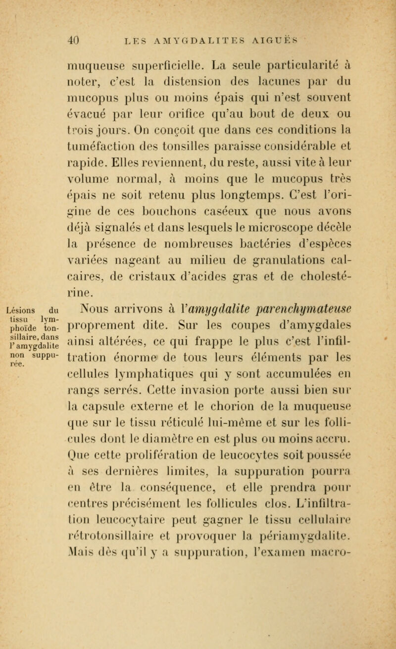 muqueuse superficielle. La seule particularité à noter, c'est la distension des lacunes par du mucopus plus ou moins épais qui n'est souvent évacué par leur orifice qu'au bout de deux ou trois jours. On conçoit que dans ces conditions la tuméfaction des tonsilles paraisse considérable et rapide. Elles reviennent, du reste, aussi vite à leur volume normal, h moins que le mucopus très épais ne soit retenu plus longtemps. C'est l'ori- gine de ces bouchons caséeux que nous avons déjà signalés et dans lesquels le microscope décèle la présence de nombreuses bactéries d'espèces variées nageant au milieu de granulations cal- caires, de cristaux d'acides gras et de cholesté- rine. Lésions du Nous arrivons à Vamygdalite parenchymateuse phoïde ton- proprement dite. Sur les coupes d'amygdales r'arnî-gdame '^^^^^^ altérées, ce qui frappe le plus c'est Tinfil- non suppii- tcation énorme de tous leurs éléments par les ree. ^ cellules lymphatiques qui y sont accumulées en rangs serrés. Cette invasion porte aussi bien sur la capsule externe et le chorion de la muqueuse que sur le tissu réticulé lui-même et sur les folli- cules dont le diamètre en est plus ou moins accru. Que cette prolifération de leucocytes soit poussée à ses dernières limites, la suppuration pourra en être la conséquence, et elle prendra pour centres précisément les follicules clos. L'inliltra- lion leucocytaire peut gagner le tissu cellulaire rétrotonsillaire et provoquer la périamygdalite. Mais dès qu'il y a suppuration, l'examen macro-