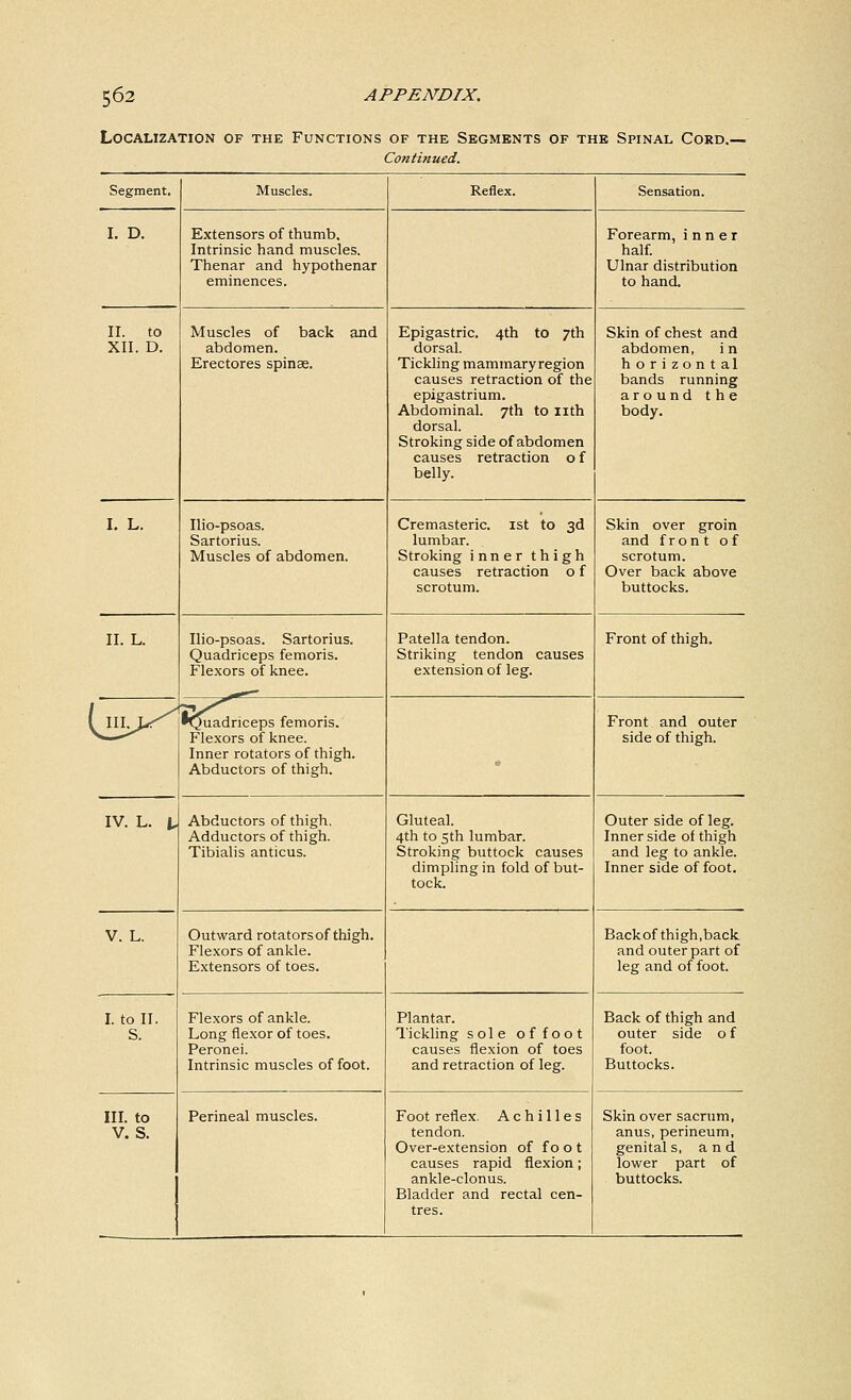 Localization of the Functions of the Segments of the Spinal Cord.- Continued. Segment. Muscles. Reflex. Sensation. I. D. Extensors of thumb. Intrinsic hand muscles. Thenar and hypothenar eminences. Forearm, inner half. Ulnar distribution to hand. II. to XII. D. Muscles of back and abdomen. Erectores spinae. Epigastric. 4th to 7th dorsal. Tickling rnammaryregion causes retraction of the epigastrium. Abdominal. 7th to nth dorsal. Stroking side of abdomen causes retraction 0 f belly. Skin of chest and abdomen, in horizontal bands running around the body. I. L. Ilio-psoas. Sartorius. Muscles of abdomen. Cremasteric. 1st to 3d lumbar. Stroking inner thigh causes retraction 0 f scrotum. Skin over groin and front of scrotum. Over back above buttocks. II. L. Ilio-psoas. Sartorius. Quadriceps femoris. Flexors of knee. Patella tendon. Striking tendon causes extension of leg. Front of thigh. III>^/ •Quadriceps femoris. Flexors of knee. Inner rotators of thigh. Abductors of thigh. 0 Front and outer side of thigh. IV. L. i. Abductors of thigh. Adductors of thigh. Tibialis anticus. Gluteal. 4th to 5th lumbar. Stroking buttock causes dimpling in fold of but- tock. Outer side of leg. Inner side of thigh and leg to ankle. Inner side of foot. V. L. Outward rotators of thigh. Flexors of ankle. Extensors of toes. Back of thigh,back and outer part of leg and of foot. I. to II. S. Flexors of ankle. Long flexor of toes. Peronei. Intrinsic muscles of foot. Plantar. Tickling sole offoot causes flexion of toes and retraction of leg. Back of thigh and outer side 0 f foot. Buttocks. III. to V. S. Perineal muscles. Foot reflex. Achilles tendon. Over-extension of f 0 0 t causes rapid flexion; ankle-clonus. Bladder and rectal cen- tres. Skin over sacrum, anus, perineum, genital s, and lower part of buttocks.