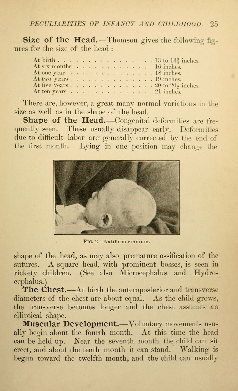 Si^e of the Head.—Thomson gives the following fig- ures for the size of the head : At birth 13 to 13| inches. At six months 16 inches. At one year 18 inches. At two years 19 inches. At five years 20 to 20£ inches. At ten years 21 inches. There are, however, a great many normal variations in the size as well as in the shape of the head. Shape of the Head.—Congenital deformities are fre- quently seen. These usually disappear early. Deformities due to difficult labor are generally corrected by the end of the first month. Lying in one position may change the Fig. 2.—Natiform cranium. shape of the head, as may also premature ossification of the sutures. A square head, with prominent bosses, is seen in rickety children. (See also Microcephalus and Hydro- cephalus.) The Chest.—At birth the anteroposterior and transverse diameters of the chest are about equal. As the child grows, the transverse becomes longer and the chest assumes an elliptical shape. Muscular Development.—Voluntary movements usu- ally begin about the fourth month. At this time the head can be held up. Near the seventh month the child can sit erect, and about the tenth month it can stand. Walking is begun toward the twelfth month, and the child can usually