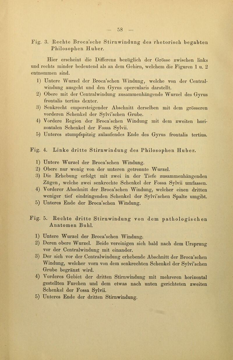 Fig. 3. Rechte Broca'sche Stirnwindung des rhetorisch begabten Philosophen Huber. Hier erscheint die Differenz bezüglich der Grösse zwischen links lind rechts minder bedeutend als an dem Gehirn, welchem die Figuren 1 u. 2 entnommen sind. 1) Untere Wurzel der Broca'schen Windung, welche von der Central- windung ausgeht und den Gyrus opercularis darstellt. 2) Obere mit der Centralwindung zusammenhängende Wurzel des Gyrus frontalis tertius dexter. 3) Senkrecht emporsteigender Abschnitt derselben mit dem grösseren vorderen Schenkel der Sylvi'schen Grube. 4) Vordere Eegion der Broca'schen Windung mit dem zweiten hori- zontalen Schenkel der Fossa Sylvii, 5) Unteres stumpfspitzig zulaufendes Ende des Gyrus frontalis tertius. Fig. 4. Linke dritte Stirnwindung des Philosophen Huber. 1) Untere Wurzel der Broca'schen Windung. 2) Obere nur wenig von der unteren getrennte Wurzel. 3) Die Erhebung erfolgt mit zwei in der Tiefe zusammenhängenden Zügen, welche zwei senkrechte Schenkel der Fossa Sylvii umfassen. 4) Vorderer Abschnitt der Broca'schen Windung, welcher einen dritten weniger tief eindringenden Schenkel der Sylvi'schen Spalte umgibt. 5) Unteres Ende der Broca'schen Windung. Fig. 5. Rechte dritte Stirnwindung von dem pathologischen Anatomen Buhl. 1) Untere Wurzel der Broca'schen Windung. 2) Deren obere Wurzel. Beide vereinigen sich bald nach dem Ursprung vor der Centralwindung mit einander, 3) Der sich vor der Centralwindung erhebende Abschnitt der Broca'schen Windung, welcher vorn von dem senkrechten Schenkel der Sylvi'schen Grube begränzt wird. 4) Vorderes Gebiet der dritten Stirnwindung mit mehreren horizontal gestellten Furchen und dem etwas nach unten gerichteten zweiten Schenkel der Fossa Sylvii. 5) Unteres Ende der dritten Stirnwindung.