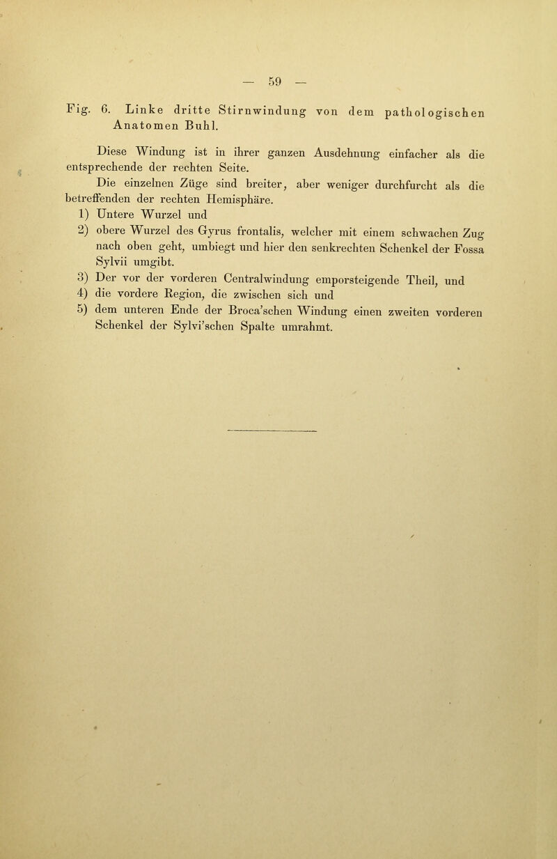 Fig. 6. Linke dritte Stirnwindung von dem pathologischen Anatomen Buhl. Diese Windung ist in ihrer ganzen Ausdehnung einfacher als die entsprechende der rechten Seite. Die einzelnen Züge sind breiter, aber weniger durchfurcht als die betreffenden der rechten Hemisphäre. 1) Untere Wurzel und 2) obere Wurzel des Gyrus frontalis, welcher mit einem schwachen Zug nach oben geht, umbiegt und hier den senkrechten Schenkel der Fossa Sjlvii umgibt. 3) Der vor der vorderen Centralwindung emporsteigende Theil, und 4) die vordere Region, die zwischen sich und 5) dem unteren Ende der Broca'schen Windung einen zweiten vorderen Schenkel der Sylvi'schen Spalte umrahmt.