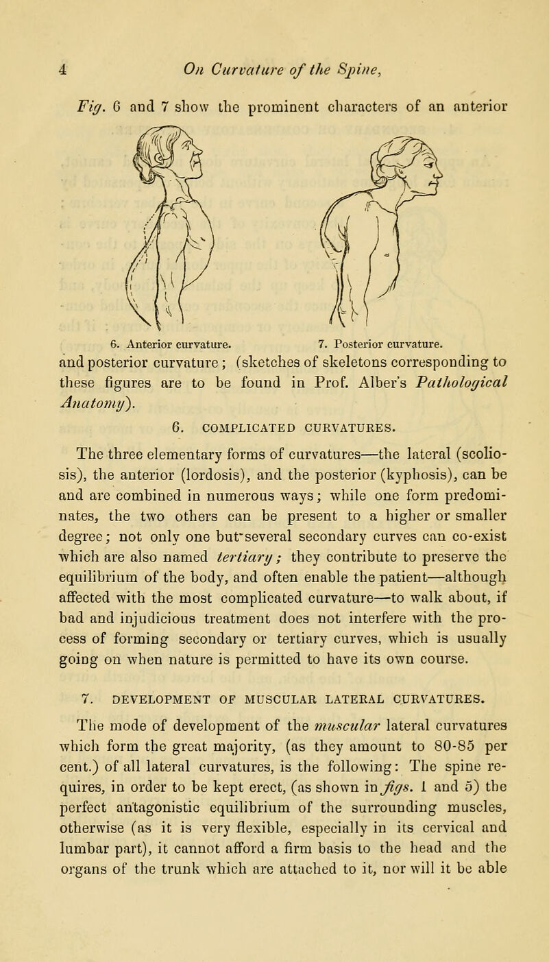 Fig. 6 and 7 show the prominent characters of an anterior 6. Anterior curvature. 7. Posterior curvature. and posterior curvature; (sketches of skeletons corresponding to these figures are to be found in Prof. Alber's Pathological Anatomy). 0. COMPLICATED CURVATURES. The three elementary forms of curvatures—the lateral (scolio- sis), the anterior (lordosis), and the posterior (kyphosis), can be and are combined in numerous ways; while one form predomi- nates, the two others can be present to a higher or smaller degree; not only one but'several secondary curves can co-exist which are also named tertiary; they contribute to preserve the equilibrium of the body, and often enable the patient—although affected with the most complicated curvature—to walk about, if bad and injudicious treatment does not interfere with the pro- cess of forming secondary or tertiary curves, which is usually going on when nature is permitted to have its own course. 7. DEVELOPMENT OF MUSCULAR LATERAL CURVATURES. The mode of development of the muscular lateral curvatures which form the great majority, (as they amount to 80-85 per cent.) of all lateral curvatures, is the following: The spine re- quires, in order to be kept erect, (as shown in Jigs. 1 and 5) the perfect antagonistic equilibrium of the surrounding muscles, otherwise (as it is very flexible, especially in its cervical and lumbar part), it cannot afford a firm basis to the head and the organs of the trunk which are attached to it, nor will it be able