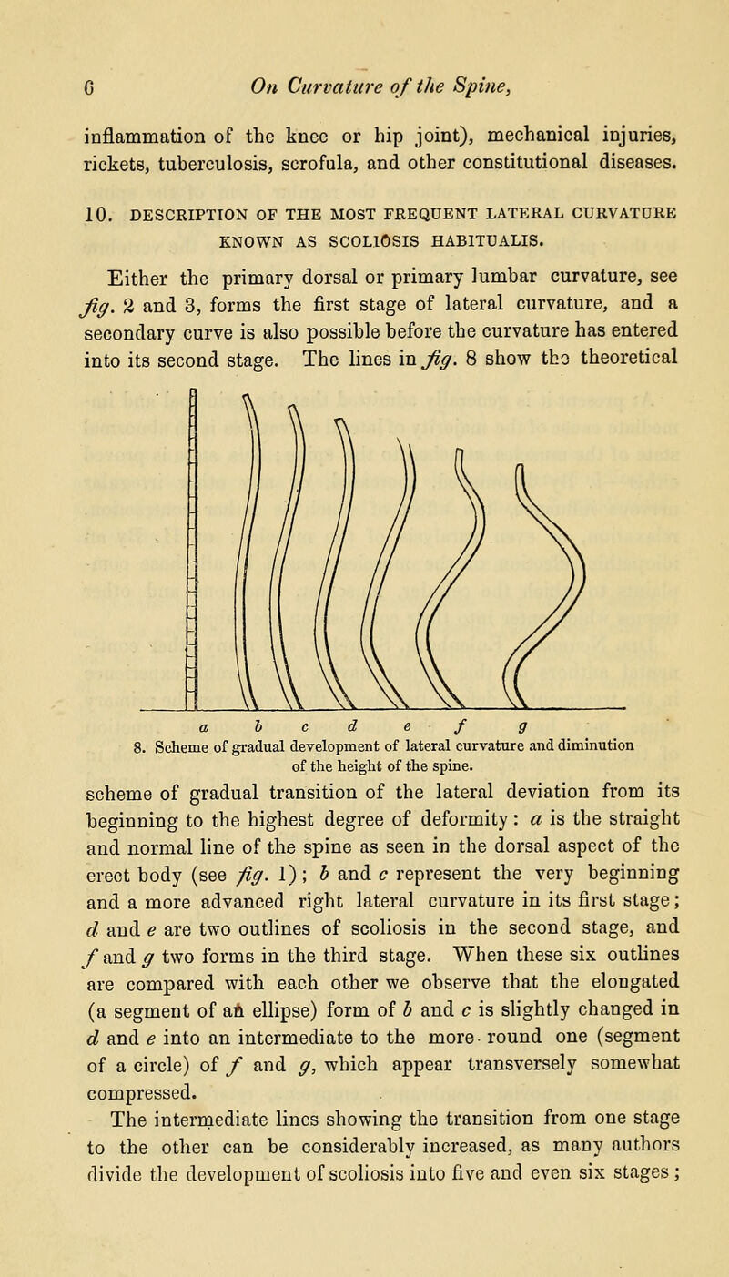 inflammation of the knee or hip joint), mechanical injuries, rickets, tuberculosis, scrofula, and other constitutional diseases. 10. DESCRIPTION OF THE MOST FREQUENT LATERAL CURVATURE KNOWN AS SCOLIOSIS HAB1TUALIS. Either the primary dorsal or primary lumbar curvature, see Jig. 2 and 3, forms the first stage of lateral curvature, and a secondary curve is also possible before the curvature has entered into its second stage. The lines in Jig. 8 show the theoretical a b c d e f g 8. Scheme of gradual development of lateral curvature and diminution of the height of the spine. scheme of gradual transition of the lateral deviation from its beginning to the highest degree of deformity: a is the straight and normal line of the spine as seen in the dorsal aspect of the erect body (see fig. 1); b and c represent the very beginning and a more advanced right lateral curvature in its first stage; d and e are two outlines of scoliosis in the second stage, and /and g two forms in the third stage. When these six outlines are compared with each other we observe that the elongated (a segment of an ellipse) form of b and c is slightly changed in d and e into an intermediate to the more round one (segment of a circle) of / and g, which appear transversely somewhat compressed. The intermediate lines showing the transition from one stage to the other can be considerably increased, as many authors divide the development of scoliosis into five and even six stages;