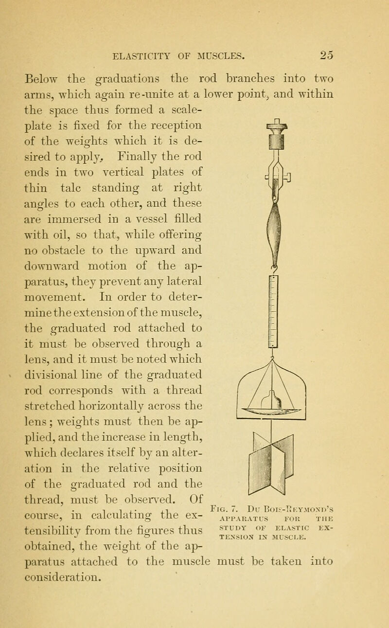 Below the graduations the rod branches into two arms, which again re-unite at a lower pointy and within the space thus formed a scale- plate is fixed for the reception i^pi of the weights which it is de- ijH sired to apply. Finally the rod ends in two vertical plates of thin talc standing at right angles to each other, and these are immersed in a vessel filled with oil, so that, while offering no obstacle to the upward and downward motion of the ap- paratus, they prevent any lateral movement. In order to deter- mine the extension of the muscle, the graduated rod attached to it must be observed through a lens, and it must be noted which divisional line of the graduated rod corresponds with a thread stretched horizontally across the lens; weights must then be ap- plied, and the increase in length, which declares itself by an alter- ation in the relative position of the graduated rod and the thread, must be obsen^ed. Of course, in calculating the ex- tensibility from the figures thus obtained, the weight of the ap- paratus attached to the muscle must be taken consideration. Fig. 7. Du Bou-TJky.moxd's API'ARATLS FOU TIIK STUDY OF ELASTIC EX- TENSION IX MLSCI.E. into