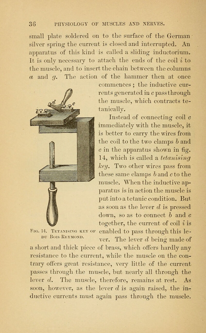 small plate soldered on to the surface of the German ■ silver spring the current is closed and interrupted. An apparatus of this kind is called a sliding inductorium. It is only necessary to attach the ends of the coil i to the muscle, and to insert the chain between the columns a and g. The action of the hammer then at once commences ; the inductive cur- rents generated in c pass through the muscle, which contracts te- tauically. Instead of connecting coil c immediately with the muscle, it is better to carry the wires from 1 he coil to the two clamps b and c in the apparatus shown in fig. 14, which is called a tetanising hey. Two other wires pass from these same clamps h and c to the muscle. When the inductive ap- paratus is in action the muscle is put into a tetanic condition. But as soon as the lever d is pressed down, so as to connect h and c together, the current of coil i is Fig. 14. Tetanising key of enabled to pass through this le- DU BoiS ReYMOSD. rpi 1 7 u • J r ver. Ihe lever a being made or a short and thick piece of brass, which offers hardly any resistance to the current, while the muscle on the con- trary offers great resistance, very little of the current passes through the muscle, but nearly all through the lever d. The muscle, therefore, remains at rest. As soon, however, as the lever d is again raised, the inr ductive currents must again pass through the muscle.