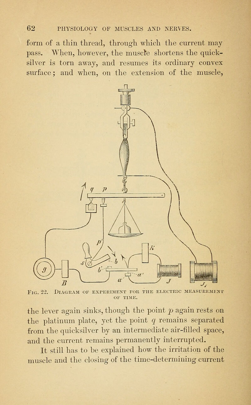 form of a thin thread, through which the current may pass. When, however, the muscle shortens the quick- silver is torn away, and resumes its ordinary convex surface; and when, on the extension of the muscle, Fig. 22. Diagram ob^ experijient for the electric measurejmeht OE TIJIE. the lever again sinks, though the point p again rests on the platinum plate, yet the point q remains separated from the quicksilver by an intermediate air-filled space, and the current remains permanently interrupted. It still has to be explained how the irritation of the muscle and the closing of the time-determining current