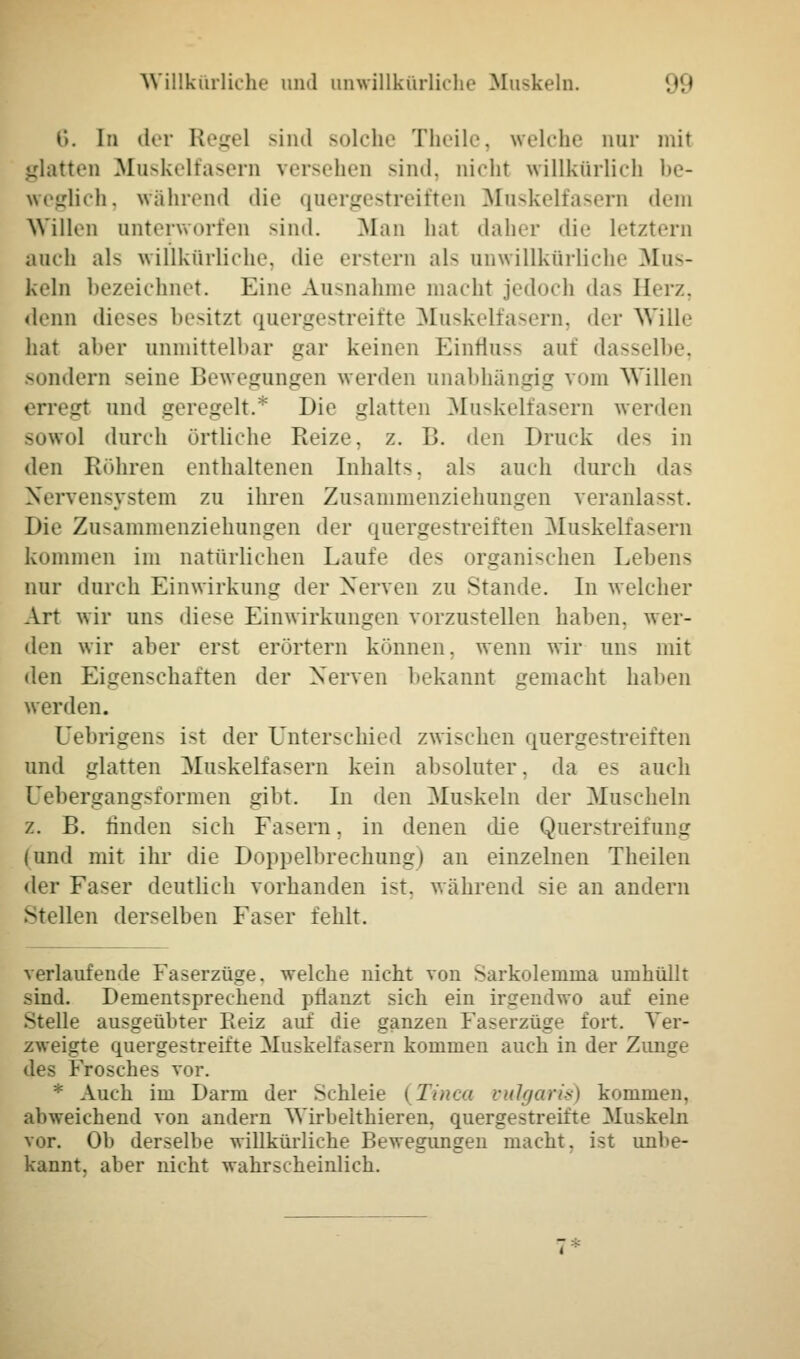 6. In der Regel sind solche Theile, welche nur mit glatten Muskelfasern versehen sind, nicht willkürlich be- weglich, während die quergestreiften Muskelfasern dem Willen unterworfen sind. Man hat daher die Letztern auch als willkürliche, die erstem als anwillkürliche Mus- keln bezeichnet. Eine Ausnahme macht jedoch das Herz, denn dieses besitzt quergestreifte Muskelfasern, der Wille hat aher unmittelbar gar keinen Einfluss auf dasselbe, sondern seine Bewegungen werden unabhängig vom Willen erregt und geregelt.* Die glatten Muskelfasern werden sowol durch örtliche Reize, z. B. den Druck des in den Röhren enthaltenen Inhalts, als auch durch das Nervensystem zu ihren Zusammenziehungen veranlasst. Die Zusammenziehungen der quergestreiften Muskelfasern kommen im natürlichen Laufe des organischen Lehens nur durch Einwirkung der Nerven zu Stande. In welcher Art wir uns dit^ Einwirkungen vorzustellen haben, wer- den wir aber erst erörtern können, wenn wir uns mit den Eigenschaften der Nerven bekannt gemacht haben werden. rjebrigens i-t der Unterschied zwischen quergestreiften und glatten Muskelfasern kein absoluter. da es auch üebergangsformen gibt. In den Muskeln der Muscheln z. B. linden sich Fasern. in denen die Querstreifung (und mit ihr die Doppelbrechung) an einzelnen Theilen der Faser deutlich vorhanden ist. während sie an andern Stellen derselben Faser fehlt. verlaufende Faserzüge, welche nicht von Sarkolemina umhüllt sind. Dementsprechend pflanzt sich ein irgendwo auf eine Stelle ausgeübter Reiz auf die ganzen Faserzüge fort. Ver- zweigte quergestreifte Muskelfasern kommen auch in der Zunge de< Frosches vor. Auch im Darm der Schleie i Tinea vulgaris) kommen, abweichend von andern Wirbelthieren, quergestreifte Muskeln vor. Ob derselbe willkürliche Bewegungen macht, ist unbe- kannt, aber nicht wahrscheinlich. -