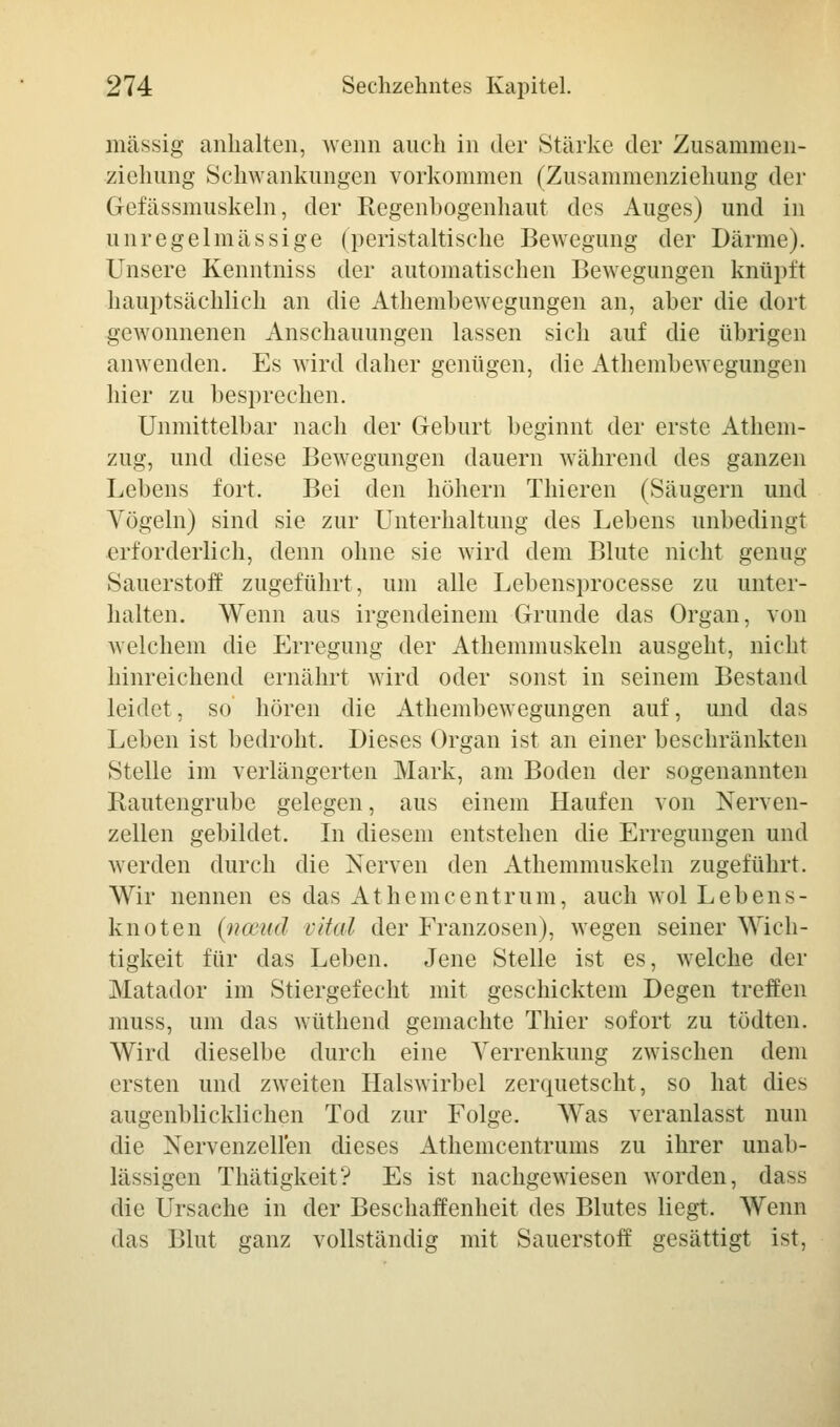 massig anhalten, wenn auch in der Stärke der Zusammen- ziehung Schwankungen vorkommen (Zusammenziehung der Gefässmuskeln, der Regenbogenhaut des Auges) und in unregelmässige (peristaltische Bewegung der Därme). Unsere Kenntniss der automatischen Bewegungen knüpft hauptsächlich an die Athembewegungen an, aber die dort gewonnenen Anschauungen lassen sich auf die übrigen anwenden. Es wird daher genügen, die Athembewegungen liier zu besprechen. Unmittelbar nach der Geburt beginnt der erste Athem- zug, und diese Bewegungen dauern während des ganzen Lebens fort. Bei den höhern Thieren (Säugern und Vögeln) sind sie zur Unterhaltung des Lebens unbedingt erforderlich, denn ohne sie wird dem Blute nicht genug Sauerstoff zugeführt, um alle Lebensprocesse zu unter- halten. Wenn aus irgendeinem Grunde das Organ, von welchem die Erregung der Athemmuskeln ausgeht, nicht hinreichend ernährt wird oder sonst in seinem Bestand leidet, so hören die Athembewegungen auf, und das Leben ist bedroht. Dieses Organ ist an einer beschränkten Stelle im verlängerten Mark, am Boden der sogenannten Rautengrube gelegen, aus einem Haufen von Nerven- zellen gebildet. In diesem entstehen die Erregungen und werden durch die Nerven den Athemmuskeln zugeführt. Wir nennen es das Athemcentrum, auch wol Lebens- knoten (Hai«! vital der Franzosen), wegen seiner Wich- tigkeit für das Leben. Jene Stelle ist es, welche der Matador im Stiergefecht mit geschicktem Degen treffen muss, um das wüthend gemachte Thier sofort zu tödten. Wird dieselbe durch eine Verrenkung zwischen dem ersten und zweiten Halswirbel zerquetscht, so hat dies augenblicklichen Tod zur Folge. Was veranlasst nun die Nervenzellen dieses Athemcentruins zu ihrer unab- lässigen Thätigkeit? Es ist nachgewiesen worden, da>< die Ursache in der Beschaffenheit des Blutes liegt. Wenn das Blut ganz vollständig mit Sauerstoff gesättigt ist,