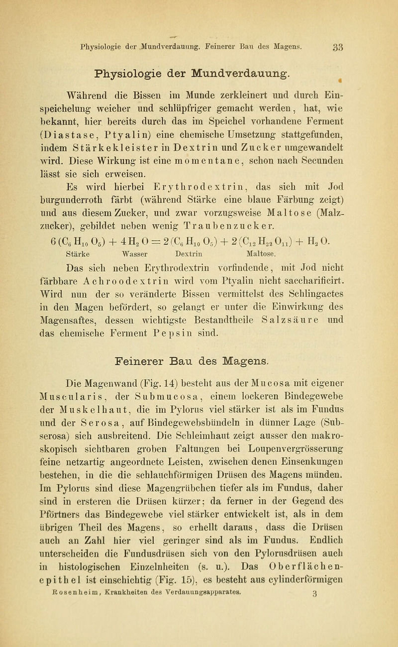 Physiologie der Mundverdauung. Während die Bissen im Munde zerkleinert und durch Ein- speichelung- weicher und schlüpfriger gemacht werden, hat, wie bekannt, hier bereits durch das im Speichel vorhandene Ferment (Diastase, Ptyalin) eine chemische Umsetzung stattgefunden, indem Stärkekleister in Dextrin und Zucker umgewandelt wird. Diese Wirkung ist eine momentane, schon nach Secunden lässt sie sich erweisen. Es wird hierbei Erythrodextrin, das sich mit Jod burgunderroth färbt (während Stärke eine blaue Färbung zeigt) und aus diesem Zucker, und zwar vorzugsweise Maltose (Malz- zucker), gebildet neben wenig Traubenzucker. 6 (Ce Hio O5) 4- 4 H2 0 = 2 rCe Hio 0,) + 2 (C^^ H,^ 0,,) + H^ 0. Stärke Wasser Dextrin Maltose. Das sich neben Erythrodextrin vorfindende, mit Jod nicht färbbare Achroodextrin wird vom Ptyalin nicht saccharificirt. Wird nun der so veränderte Bissen vermittelst des Schlingactes in den Magen befördert, so gelangt ei- unter die Einwirkung des Magensaftes, dessen wichtigste Bestandtheile Salzsäure und das chemische Ferment Pepsin sind. Feinerer Bau des Magens. Die Magenwand (Fig. 14) besteht aus der Mucosa mit eigener Muscularis, der Submucosa, einem lockeren Bindegewebe der M u s k e 1 h a u t, die im Pylorus viel stärker ist als im Fundus und der Serosa, auf Bindegewebsbündeln in dünner Lage (Sub- serosa) sich ausbreitend. Die Schleimhaut zeigt ausser den makro- skopisch sichtbaren groben Faltungen bei Loupenvergrösserung feine netzartig angeordnete Leisten, zwischen denen Einsenkungen bestehen, in die die schlauchförmigen Drüsen des Magens münden. Im Pylorus sind diese Magengrübchen tiefer als im Fundus, daher sind in ersteren die Drüsen kürzer; da ferner in der Gegend des Pförtners das Bindegewebe viel stärker entwickelt ist, als in dem übrigen Theil des Magens, so erhellt daraus, dass die Drüsen auch an Zahl hier viel geringer sind als im Fundus. Endlich unterscheiden die Fundusdrüsen sich von den Pylorusdrüsen auch in histologischen Einzclnheiten (s. u.). Das Oberflächen- epithel ist einschichtig (Fig. 15), es besteht aus cylinderförmigen Rosen heim, Krankheiten de.s Verdauungaapparatea. 3