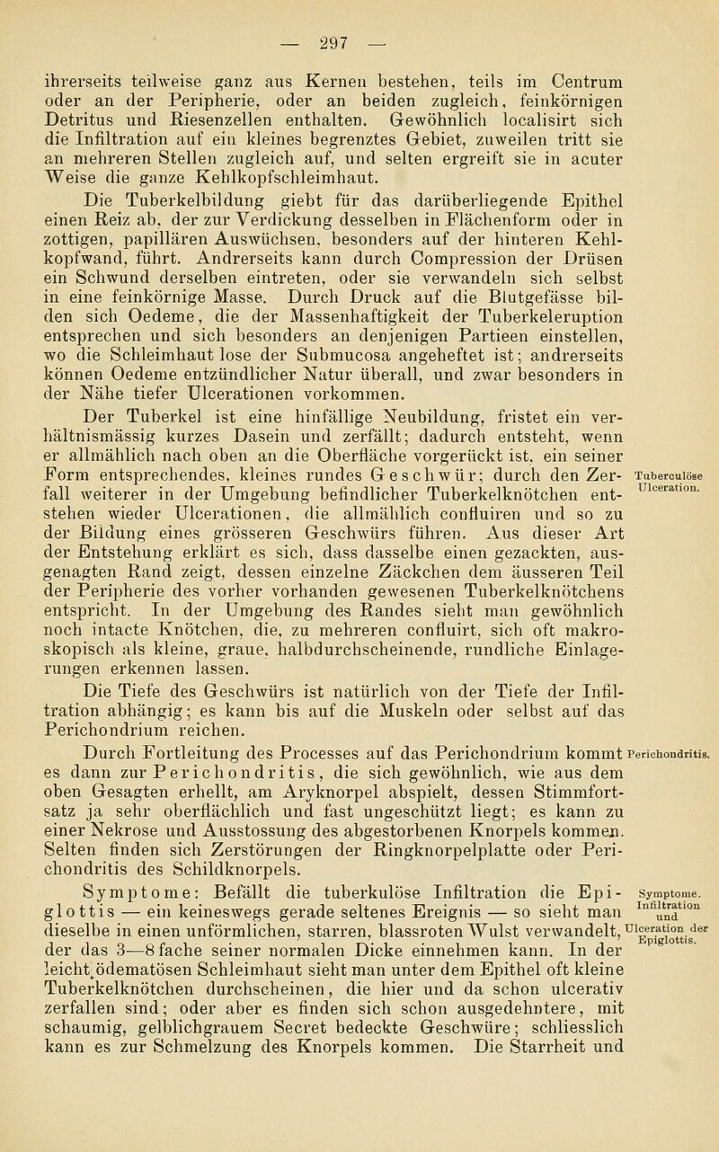 ihrerseits teilweise ganz aus Kernen bestehen, teils im Centrum oder an der Peripherie, oder an beiden zugleich, feinkörnigen Detritus und ßiesenzellen enthalten. Gewöhnlich localisirt sich die Infiltration auf ein kleines begrenztes Gebiet, zuweilen tritt sie an mehreren Stellen zugleich auf, und selten ergreift sie in acuter Weise die ganze Kehlkopfschleimhaut. Die Tuberkelbildung giebt für das darüberliegende Epithel einen Reiz ab, der zur Verdickung desselben in Plächenform oder in zottigen, papillären Auswüchsen, besonders auf der hinteren Kehl- kopfwand, führt. Andrerseits kann durch Compression der Drüsen ein Schwund derselben eintreten, oder sie verwandeln sich selbst in eine feinkörnige Masse. Durch Druck auf die Blutgefässe bil- den sich Oedeme, die der Massenhaftigkeit der Tuberkeleruption entsprechen und sich besonders an denjenigen Partieen einstellen, wo die Schleimhaut lose der Submucosa angeheftet ist; andrerseits können Oedeme entzündlicher Natur überall, und zwar besonders in der Nähe tiefer Ulcerationen vorkommen. Der Tuberkel ist eine hinfällige Neubildung, fristet ein ver- hältnismässig kurzes Dasein und zerfällt; dadurch entsteht, wenn er allmählich nach oben an die Oberfläche vorgerückt ist, ein seiner Form entsprechendes, kleines rundes Geschwür; durch den Zer- TuberouiöBe fall weiterer in der Umgebung befindlicher Tuberkelknötchen ent- ^'<=^'^^'i°'i- stehen wieder Ulcerationen, die allmählich confluiren und so zu der Bildung eines grösseren Geschwürs führen. Aus dieser Art der Entstehung erklärt es sich, dass dasselbe einen gezackten, aus- genagten Band zeigt, dessen einzelne Zäckchen dem äusseren Teil der Peripherie des vorher vorhanden gewesenen Tuberkelknötchens entspricht. In der Umgebung des Randes sieht man gewöhnlich noch intacte Knötchen, die, zu mehreren confluirt, sich oft makro- skopisch als kleine, graue, halbdurchscheinende, rundliche Einlage- rungen erkennen lassen. Die Tiefe des Geschwürs ist natürlich von der Tiefe der Infil- tration abhängig; es kann bis auf die Muskeln oder selbst auf das Perichondrium reichen. Durch Portleitung des Processes auf das Perichondrium kommt Perichondritis. es dann zur Perichondritis, die sich gewöhnlich, wie aus dem oben Gesagten erhellt, am Aryknorpel abspielt, dessen Stimmfort- satz ja sehr oberflächlich und fast ungeschützt liegt; es kann zu einer Nekrose und Ausstossung des abgestorbenen Knorpels kommen. Selten finden sich Zerstörungen der Ringknorpelplatte oder Peri- chondritis des Schildknorpels. Symptome: Befällt die tuberkulöse Infiltration die Epi- Symptome, glottis — ein keineswegs gerade seltenes Ereignis — so sieht man ^'^^^*^^ti<''i dieselbe in einen unförmlichen, starren, blassroten Wulst verwandelt, ^ ^T'iottis'^^' der das 3—8 fache seiner normalen Dicke einnehmen kann. In der leicht ödematösen Schleimhaut sieht man unter dem Epithel oft kleine Tuberkelknötchen durchscheinen, die hier und da schon ulcerativ zerfallen sind; oder aber es finden sich schon ausgedehntere, mit schaumig, gelblichgrauem Secret bedeckte Geschwüre; schliesslich kann es zur Schmelzung des Knorpels kommen. Die Starrheit und