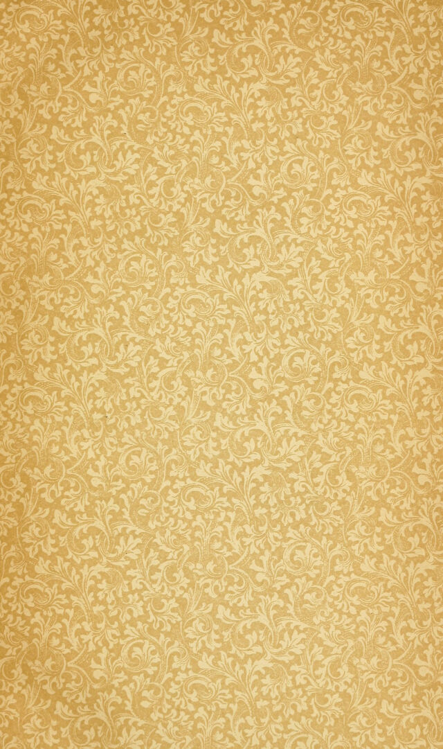 digitised image 3