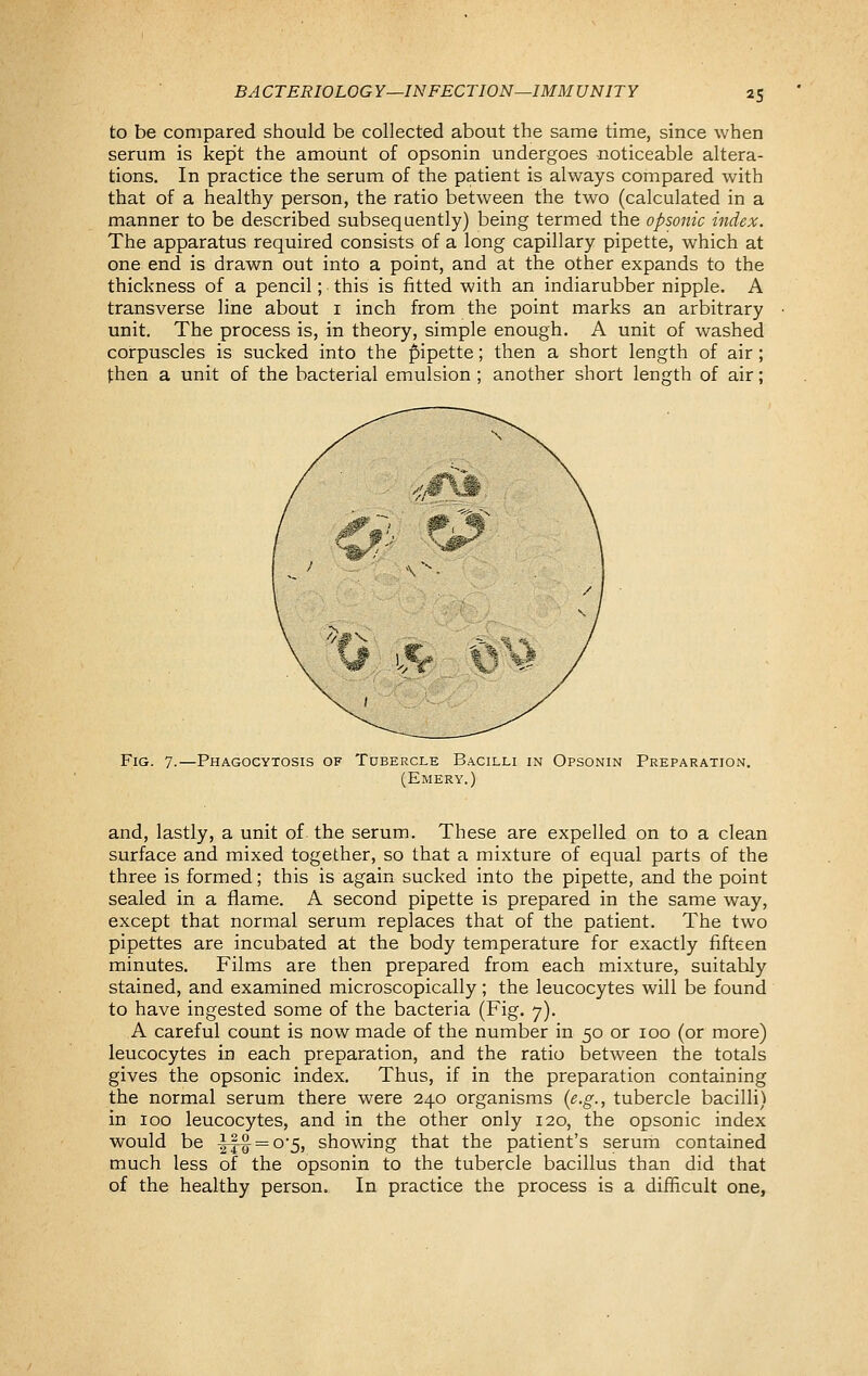to be compared should be collected about the same time, since when serum is kept the amotmt of opsonin undergoes noticeable altera- tions. In practice the serum of the patient is always compared with that of a healthy person, the ratio between the two (calculated in a manner to be described subsequently) being termed the opsonic index. The apparatus required consists of a long capillary pipette, which at one end is drawn out into a point, and at the other expands to the thickness of a pencil; this is fitted with an indiarubber nipple. A transverse line about i inch from the point marks an arbitrary unit. The process is, in theory, simple enough. A unit of washed corpuscles is sucked into the fiipette; then a short length of air; then a unit of the bacterial emulsion ; another short length of air; Fig. 7.—Phagocytosis of Tubercle Bacilli in Opsonin Preparation. (Emery.) and, lastly, a unit of the serum. These are expelled on to a clean surface and mixed together, so that a mixture of equal parts of the three is formed; this is again sucked into the pipette, and the point sealed in a flame. A second pipette is prepared in the same way, except that normal serum replaces that of the patient. The two pipettes are incubated at the body temperature for exactly fifteen minutes. Films are then prepared from each mixture, suitably stained, and examined microscopically; the leucocytes will be found to have ingested some of the bacteria (Fig. 7). A careful count is now made of the number in 50 or 100 (or more) leucocytes in each preparation, and the ratio between the totals gives the opsonic index. Thus, if in the preparation containing the normal serum there were 240 organisms {e.g., tubercle bacilli) in 100 leucocytes, and in the other only 120, the opsonic index would be |^t = o'5, showing that the patient's serum contained much less of the opsonin to the tubercle bacillus than did that of the healthy person. In practice the process is a difficult one.