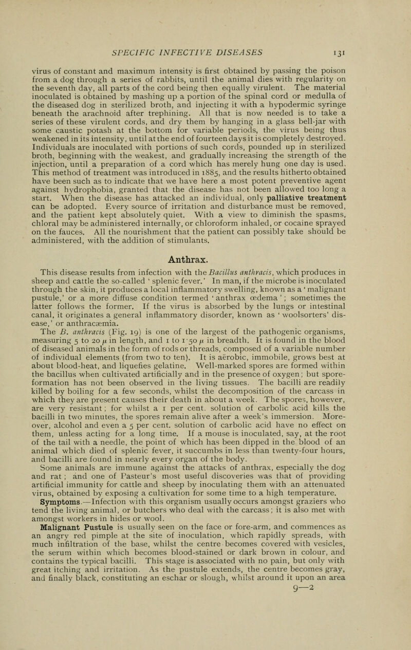 virus of constant and maximum intensity is first obtained by passing the poison from a dog through a series of rabbits, until the animal dies with regularity on the seventh day, all parts of the cord being then equally virulent. The material inoculated is obtained by mashing up a portion of the spinal cord or medulla of the diseased dog in sterilized broth, and injecting it with a hypodermic syringe beneath the arachnoid after trephining. All that is now needed is to take a series of these virulent cords, and dry them by hanging in a glass bell-jar with some caustic potash at the bottom for variable periods, the virus being thus weakened in its intensity, until at the end of fourteen days it is completely destroyed. Individuals are inoculated with portions of such cords, pounded up in sterilized broth, beginning with the weakest, and gradually increasing the strength of the injection, until a preparation of a cord which has merely hung one day is used. This method of treatment was introduced in 1885, and the results hitherto obtained have been such as to indicate that we have here a most potent preventive agent against hydrophobia, granted that the disease has not been allowed too long a start. When the disease has attacked an individual, only palliative treatment can be adopted. Every source of irritation and disturbance must be removed, and the patient kept absolutely quiet. With a view to diminish the spasms, chloral may be administered internally, or chloroform inhaled, or cocaine sprayed on the fauces. All the nourishment that the patient can possibly take should be administered, with the addition of stimulants. Anthrax. This disease results from infection with the Bacillus anthracis, which produces in sheep and cattle the so-called ' splenic fever.' In man, if the microbe is inoculated through the skin, it produces a local inflammatory swelling, known as a ' malignant pustule,' or a more diffuse condition termed 'anthrax oedema'; sometimes the latter follows the former. If the virus is absorbed by the lungs or intestinal canal, it originates a general inflammatory disorder, known as ' woolsorters' dis- ease,' or anthracasmia. The B. anthracis (Fig. 19) is one of the largest of the pathogenic organisms, measuring 5 to 20 /.i in length, and 1 to 150 p in breadth. It is found in the blood of diseased animals in the form of rods or threads, composed of a variable number of individual elements (from two to ten). It is aerobic, immobile, grows best at about blood-heat, and liquefies gelatine. Well-marked spores are formed within the bacillus when cultivated artificially and in the presence of oxygen; but spore- formation has not been observed in the living tissues. The bacilli are readily killed by boiling for a few seconds, whilst the decomposition of the carcass in which they are present causes their death in about a week. The spores, however, are very resistant; for whilst a 1 per cent, solution of carbolic acid kills the bacilli in two minutes, the spores remain alive after a week's immersion. More- over, alcohol and even a 5 per cent, solution of carbolic acid have no effect on them, unless acting for a long time. If a mouse is inoculated, say, at the root of the tail with a needle, the point of which has been dipped in the blood of an animal which died of splenic fever, it succumbs in less than twenty-four hours, and bacilli are found in nearly every organ of the body. Some animals are immune against the attacks of anthrax, especially the dog and rat ; and one of Pasteur's most useful discoveries was that of providing artificial immunity for cattle and sheep by inoculating them with an attenuated virus, obtained by exposing a cultivation for some time to a high temperature. Symptoms.—Infection with this organism usually occurs amongst graziers who tend the living animal, or butchers who deal with the carcass; it is also met with amongst workers in hides or wool. Malignant Pustule is usually seen on the face or fore-arm, and commences as an angry red pimple at the site of inoculation, which rapidly spreads, with much infiltration of the base, whilst the centre becomes covered with vesicles, the serum within which becomes blood-stained or dark brown in colour, and contains the typical bacilli. This stage is associated with no pain, but only with great itching and irritation. As the pustule extends, the centre becomes gray, and finally black, constituting an eschar or slough, whilst around it upon an area 9—2