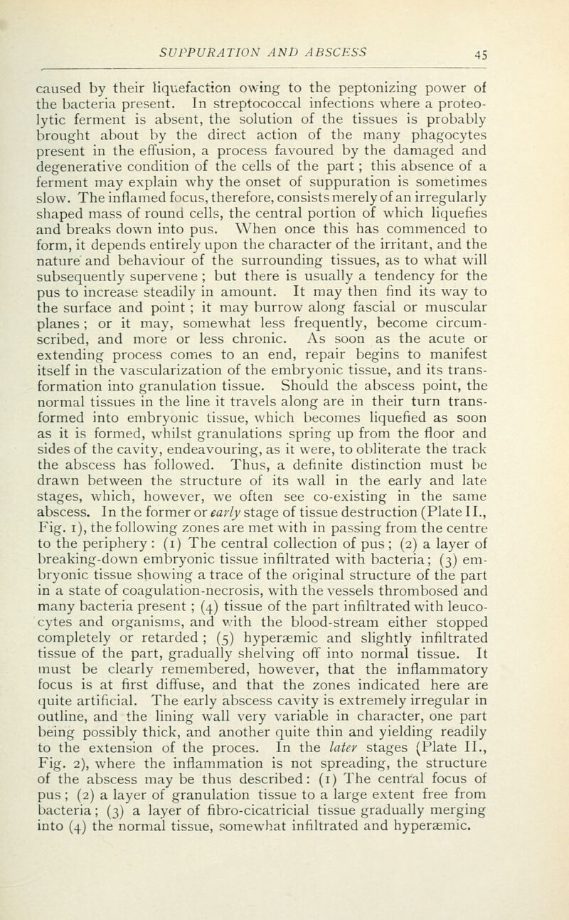 caused by their liquefaction owing to the peptonizing power of the bacteria present. In streptococcal infections where a proteo- lytic ferment is absent, the solution of the tissues is probably brought about by the direct action of the many phagocytes present in the effusion, a process favoured by the damaged and degenerative condition of the cells of the part; this absence of a ferment may explain why the onset of suppuration is sometimes slow. The inflamed focus, therefore, consists merely of an irregularly shaped mass of round cells, the central portion of which liquefies and breaks down into pus. When once this has commenced to form, it depends entirely upon the character of the irritant, and the nature and behaviour of the surrounding tissues, as to what will subsequently supervene ; but there is usually a tendency for the pus to increase steadily in amount. It may then find its way to the surface and point ; it may burrow along fascial or muscular planes ; or it may, somewhat less frequently, become circum- scribed, and more or less chronic. As soon as the acute or extending process comes to an end, repair begins to manifest itself in the vascularization of the embryonic tissue, and its trans- formation into granulation tissue. Should the abscess point, the normal tissues in the line it travels along are in their turn trans- formed into embryonic tissue, which becomes liquefied as soon as it is formed, whilst granulations spring up from the floor and sides of the cavity, endeavouring, as it were, to obliterate the track the abscess has followed. Thus, a definite distinction must be drawn between the structure of its wall in the early and late stages, which, however, we often see co-existing in the same abscess. In the former or early stage of tissue destruction (Plate II., Fig. 1), the following zones are met with in passing from the centre to the periphery : (1) The central collection of pus ; (2) a layer of breaking-down embryonic tissue infiltrated with bacteria; (3) em- bryonic tissue showing a trace of the original structure of the part in a state of coagulation-necrosis, with the vessels thrombosed and many bacteria present ; (4) tissue of the part infiltrated with leuco- cytes and organisms, and with the blood-stream either stopped completely or retarded ; (5) hyperaemic and slightly infiltrated tissue of the part, gradually shelving off into normal tissue. It must be clearly remembered, however, that the inflammatory focus is at first diffuse, and that the zones indicated here are quite artificial. The early abscess cavity is extremely irregular in outline, and the lining wall very variable in character, one part being possibly thick, and another quite thin and yielding readily to the extension of the proces. In the later stages (Plate II., Fig. 2), where the inflammation is not spreading, the structure of the abscess may be thus described: (1) The central focus of pus; (2) a layer of granulation tissue to a large extent free from bacteria; (3) a layer of fibro-cicatricial tissue gradually merging into (4) the normal tissue, somewhat infiltrated and hyperaemic.