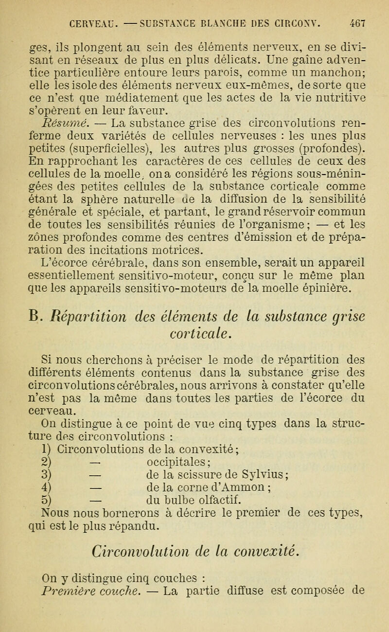 ges, ils plongent au sein des éléments nerveux, en se divi- sant en réseaux de plus en plus délicats. Une gaine adven- tice particulière entoure leurs parois, comme un manchon; elle les isole des éléments nerveux eux-mêmes, de sorte que ce n'est que médiatement que les actes de la vie nutritive s'opèrent eu leur faveur. Résumé. — La substance grise des circonvolutions ren- ferme deux variétés de cellules nerveuses : les unes plus petites (superficielles), les autres plus grosses (profondes). En rapprochant les caractères de ces cellules de ceux des cellules de la moelle, on a considéré les régions sous-ménin- gées des petites cellules de la substance corticale comme étant la sphère naturelle ue la diffusion de la sensibilité générale et spéciale, et partant, le grand réservoir commun de toutes les sensibilités réunies de l'organisme ; — et les zones profondes comme des centres d'émission et de prépa- ration des incitations motrices. L'écorce cérébrale, dans son ensemble, serait un appareil essentiellement sensitivo-moteur, conçu sur le même plan que les appareils sensitivo-moteurs de la moelle épinière. B. Répartition des éléments de la substance grise corticale. Si nous cherchons à préciser le mode de répartition des différents éléments contenus dans la substance grise des circonvolutions cérébrales, nous arrivons à constater qu'elle n'est pas la même dans toutes les parties de l'écorce du cerveau. On distingue à ce point de vue cinq types dans la struc- ture des circonvolutions : 1) Circonvolutions de la convexité ; 2) — occipitales ; 3) — de la scissure de Sylvius ; 4) — de la corne d'Ammon ; 5) — du bulbe olfactif. Nous nous bornerons à décrire le premier de ces types, qui est le plus répandu. Circonvolution de la convexité. On y distingue cinq couches : Preraière couche. — La partie diffuse est composée de