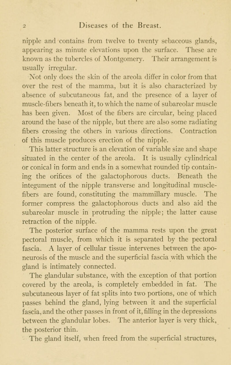 nipple and contains from twelve to twenty sebaceous glands, appearing as minute elevations upon the surface. These are known as the tubercles of Montgomery. Their arrangement is usually irregular. Xot only does the skin of the areola differ in color from that over the rest of the mamma, but it is also characterized by absence of subcutaneous fat, and the presence of a layer of muscle-fibers beneath it, to which the name of subareolar muscle has been given. Most of the fibers are circular, being placed around the base of the nipple, but there are also some radiating fibers crossing the others in various directions. Contraction of this muscle produces erection of the nipple. This latter structure is an elevation of variable size and shape situated in the center of the areola. It is usually cylindrical or conical in form and ends in a somewhat rounded tip contain- ing the orifices of the galactophorous ducts. Beneath the integument of the nipple transverse and longitudinal muscle- fibers are found, constituting the mammillary muscle. The former compress the galactophorous ducts and also aid the subareolar muscle in protruding the nipple; the latter cause retraction of the nipple. The posterior surface of the mamma rests upon the great pectoral muscle, from which it is separated by the pectoral fascia. A layer of cellular tissue intervenes between the apo- neurosis of the muscle and the superficial fascia with which the gland is intimately connected. The glandular substance, with the exception of that portion covered by the areola, is completely embedded in fat. The subcutaneous layer of fat splits into two portions, one of which passes behind the gland, lying between it and the superficial fascia, and the other passes in front of it, filling in the depressions between the glandular lobes. The anterior layer is very thick, the posterior thin. The gland itself, when freed from the superficial structures,