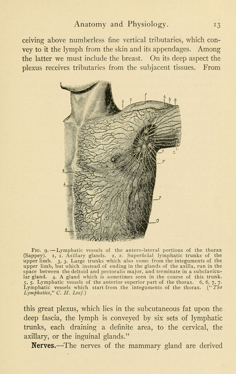 ceiving above numberless fine vertical tributaries, which con- vey to it the lymph from the skin and its appendages. Among the latter we must include the breast. On its deep aspect the plexus receives tributaries from the subjacent tissues. From ■:%: r\m Fig. 9.—Lymphatic vessels of the antero-lateral portions of the thorax (Sappey). 1, 1. Axillary glands. 2, 2. Superficial lymphatic trunks of the upper limb. 3, 3. Large trunks which also come from the integuments of the upper limb, but which instead of ending in the glands of the axilla, run in the space between the deltoid and pectoralis major, and terminate in a subclavicu- lar gland. 4. A gland which is sometimes seen in the course of this trunk. 5, 5. Lymphatic vessels of the anterior superior part of the thorax. 6, 6, 7, 7. Lymphatic vessels which start from the integuments of the thorax. ( The Lymphatics, C. H. Leaf.) this great plexus, which lies in the subcutaneous fat upon the deep fascia, the lymph is conveyed by six sets of lymphatic trunks, each draining a definite area, to the cervical, the axillary, or the inguinal glands. Nerves.—The nerves of the mammary gland are derived