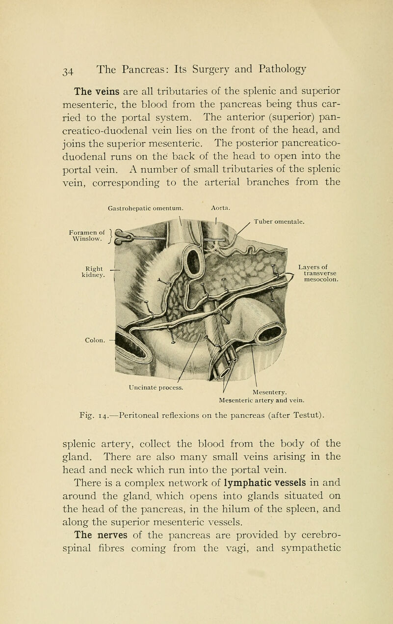 The veins are all tributaries of the splenic and superior mesenteric, the blood from the pancreas being thus car- ried to the portal system. The anterior (superior) pan- creatico-duodenal vein lies on the front of the head, and joins the superior mesenteric. The posterior pancreatico- duodenal runs on the back of the head to open into the portal vein. A number of small tributaries of the splenic vein, corresponding to the arterial branches from the Gastrohepatic omentum. Aorta. Tuber omentale. Layers of transverse mesocolon. Colon Uncinate process. Mesentery. Mesenteric artery and vein. Fig. 14.—Peritoneal reflexions on the pancreas (after Testut). splenic artery, collect the blood from the body of the gland. There are also many small veins arising in the head and neck which run into the portal vein. There is a complex network of lymphatic vessels in and around the gland, which opens into glands situated on the head of the pancreas, in the hilum of the spleen, and along the superior mesenteric vessels. The nerves of the pancreas are provided by cerebro- spinal fibres coming from the vagi, and sympathetic