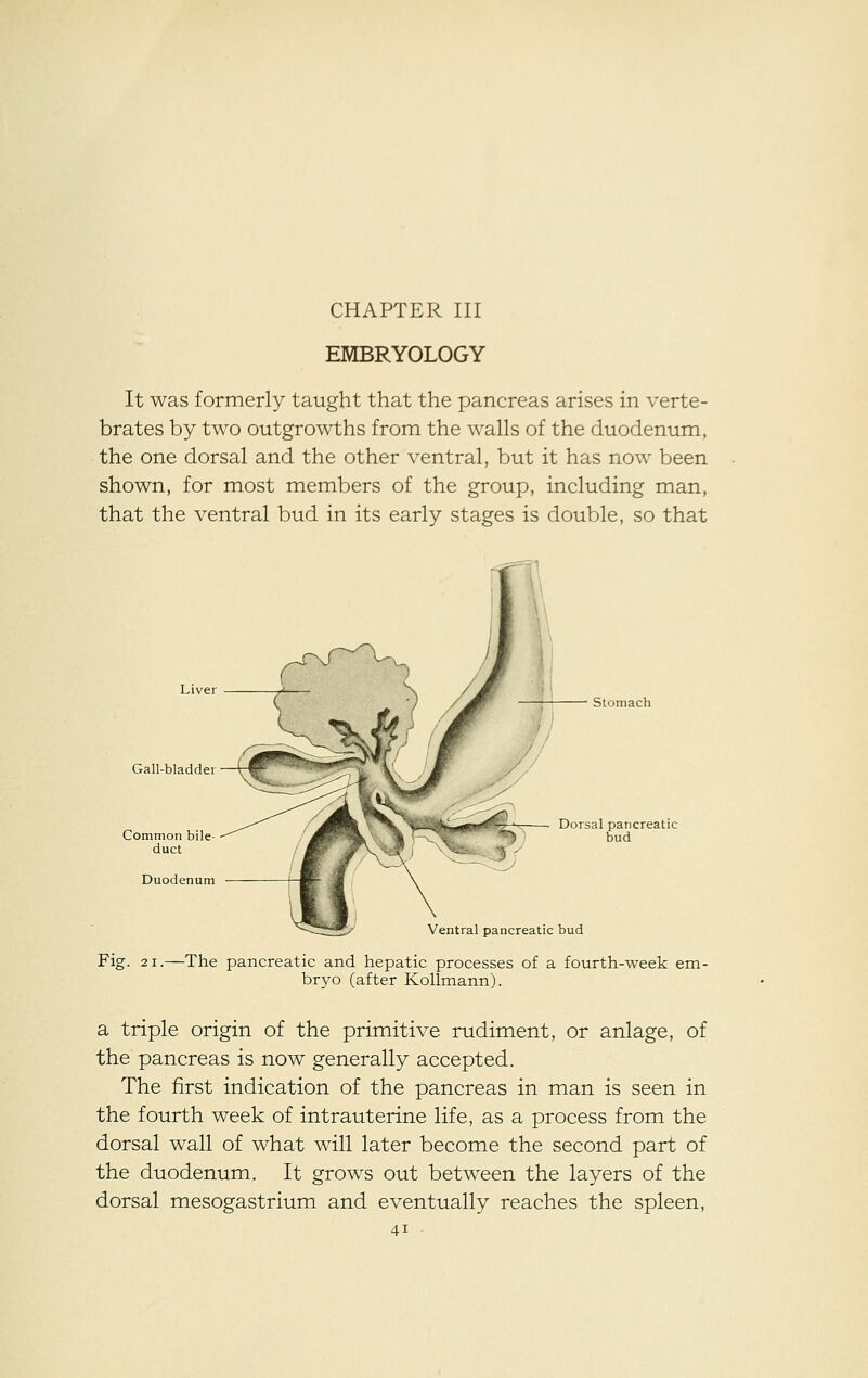 EMBRYOLOGY It was formerly taught that the pancreas arises in verte- brates by two outgrowths from the walls of the duodenum, the one dorsal and the other ventral, but it has now been shown, for most members of the group, including man, that the ventral bud in its early stages is double, so that Liver Gall-bladder Common bile- duct Duodenum Stomach Dorsal pancreatic bud Ventral pancreatic bud Fig. 21.—The pancreatic and hepatic processes of a fourth-week em- bryo (after Kollmann). a triple origin of the primitive rudiment, or anlage, of the pancreas is now generally accepted. The first indication of the pancreas in man is seen in the fourth week of intrauterine life, as a process from the dorsal wall of what will later become the second part of the duodenum. It grows out between the layers of the dorsal mesogastrium and eventually reaches the spleen,